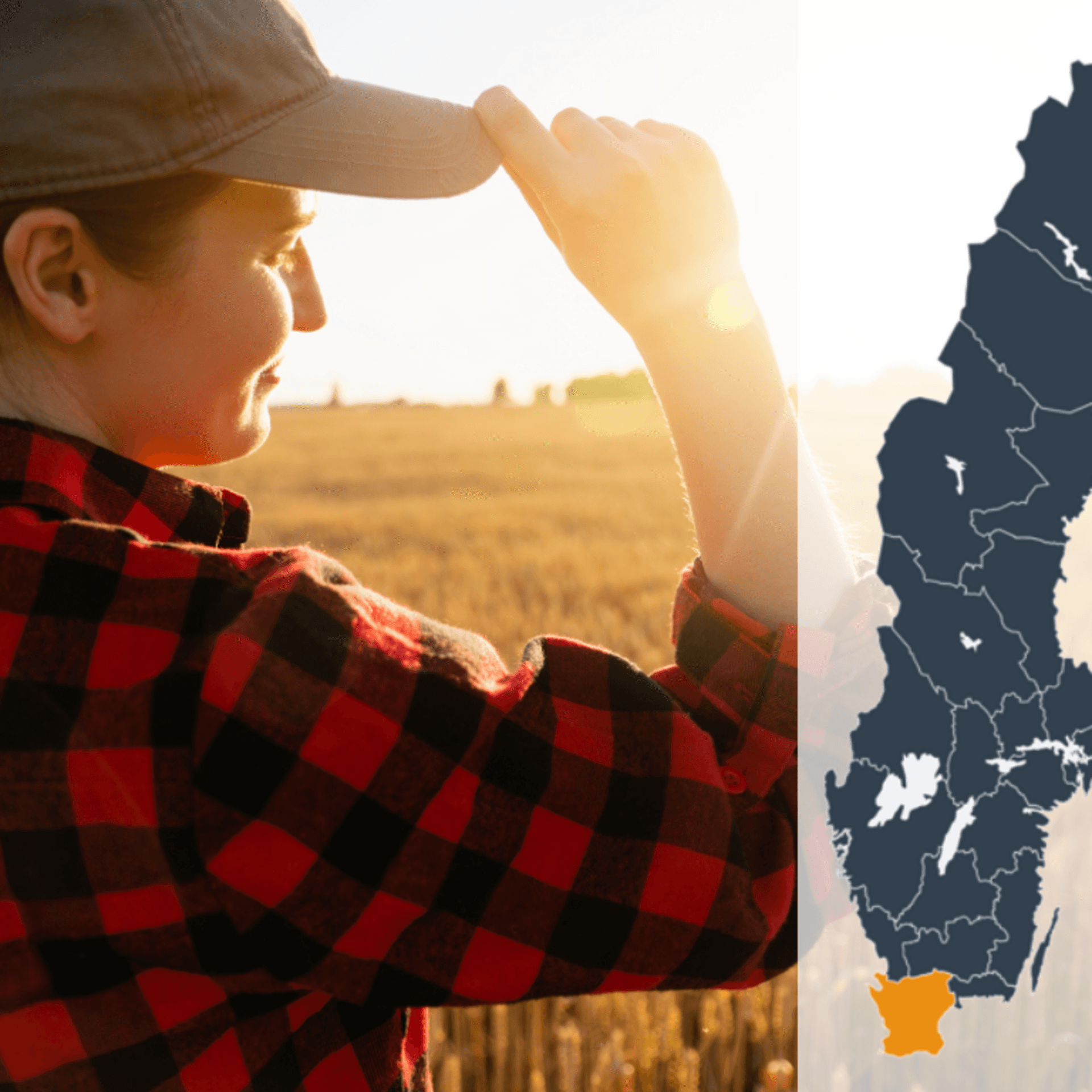 Kollage av en person som blickar ut över ett gult fält tillsammans med en Sverigekarta där Skåne är markerat