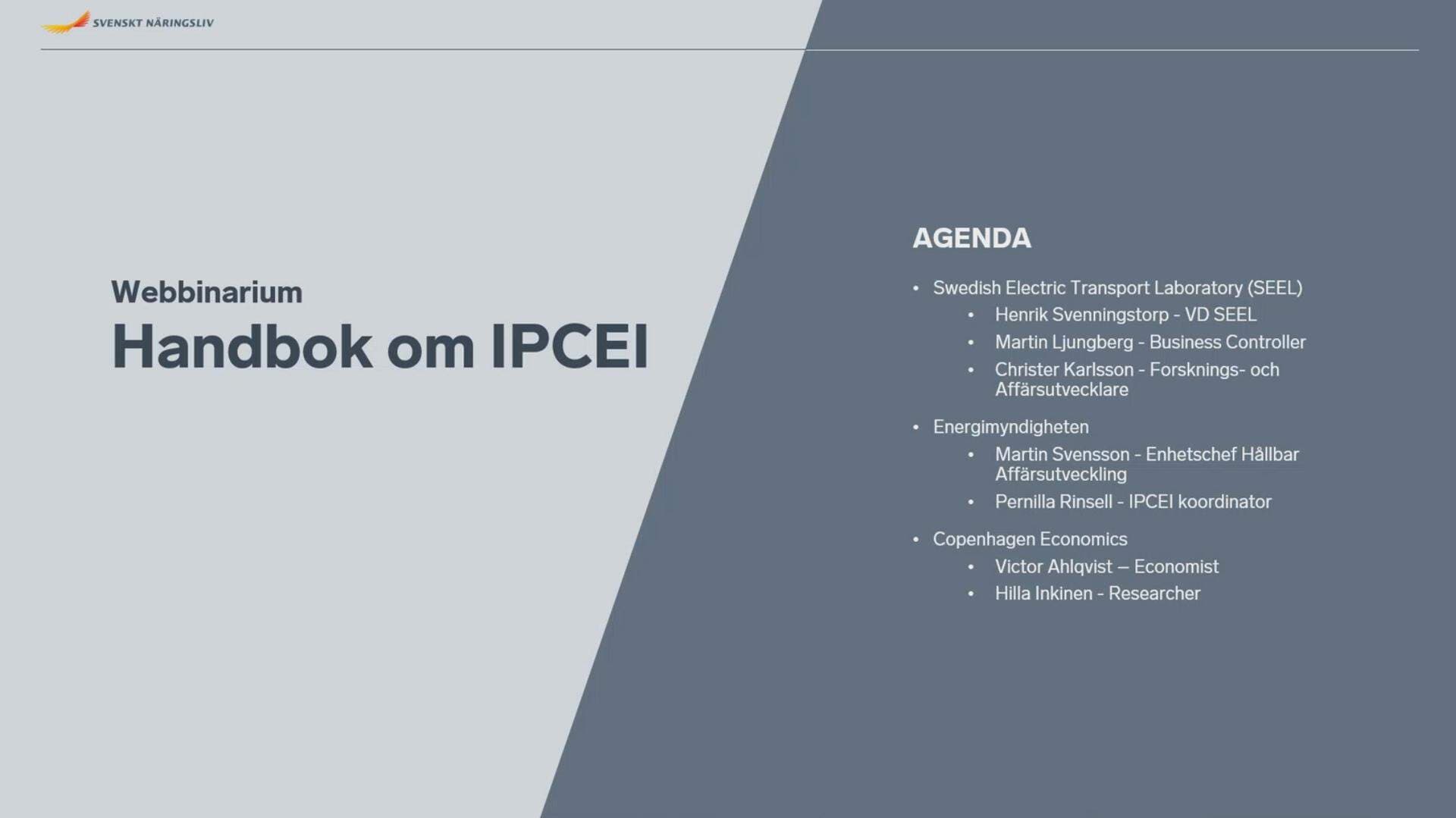 Webbinarium Handbok om IPCEI