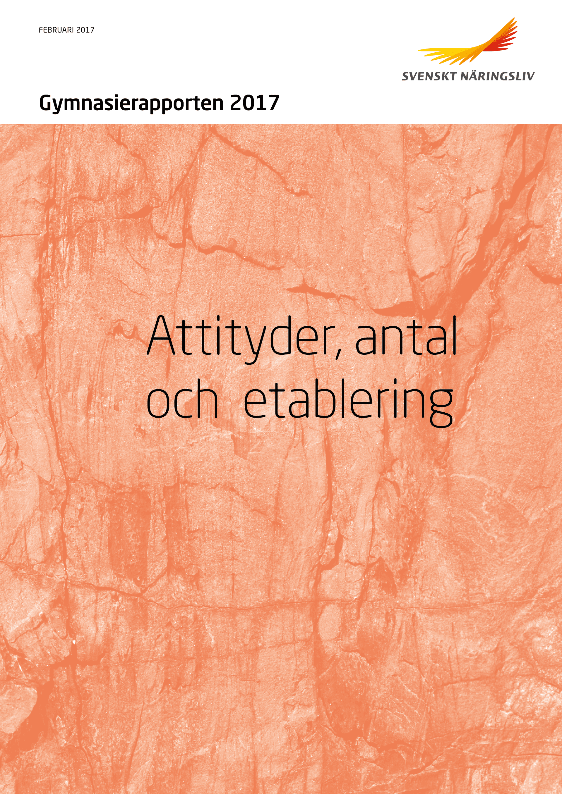 Gymnasierapport_2017_webb.pdf.png