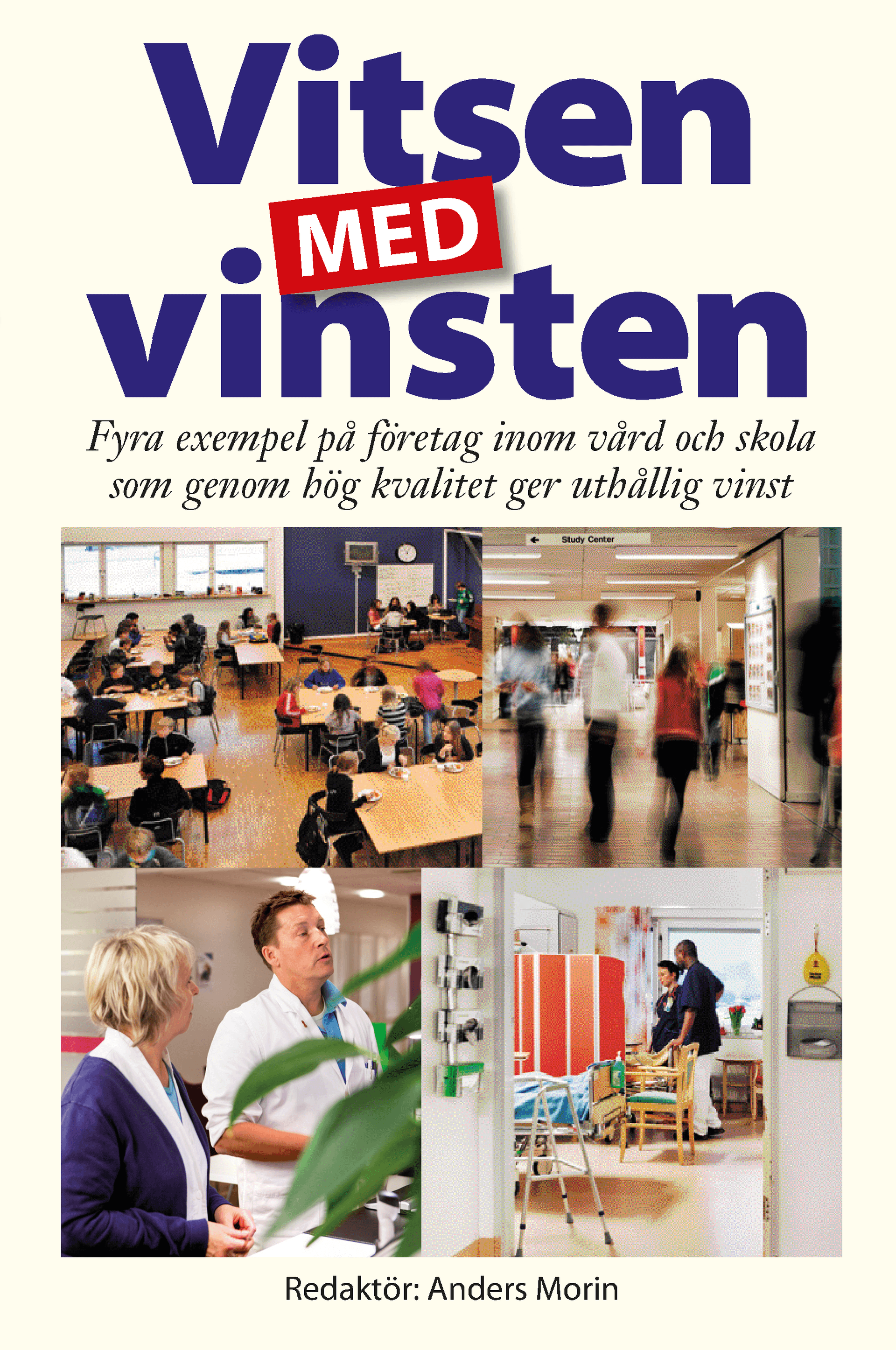 Vitsen_med_vinsten.pdf.png