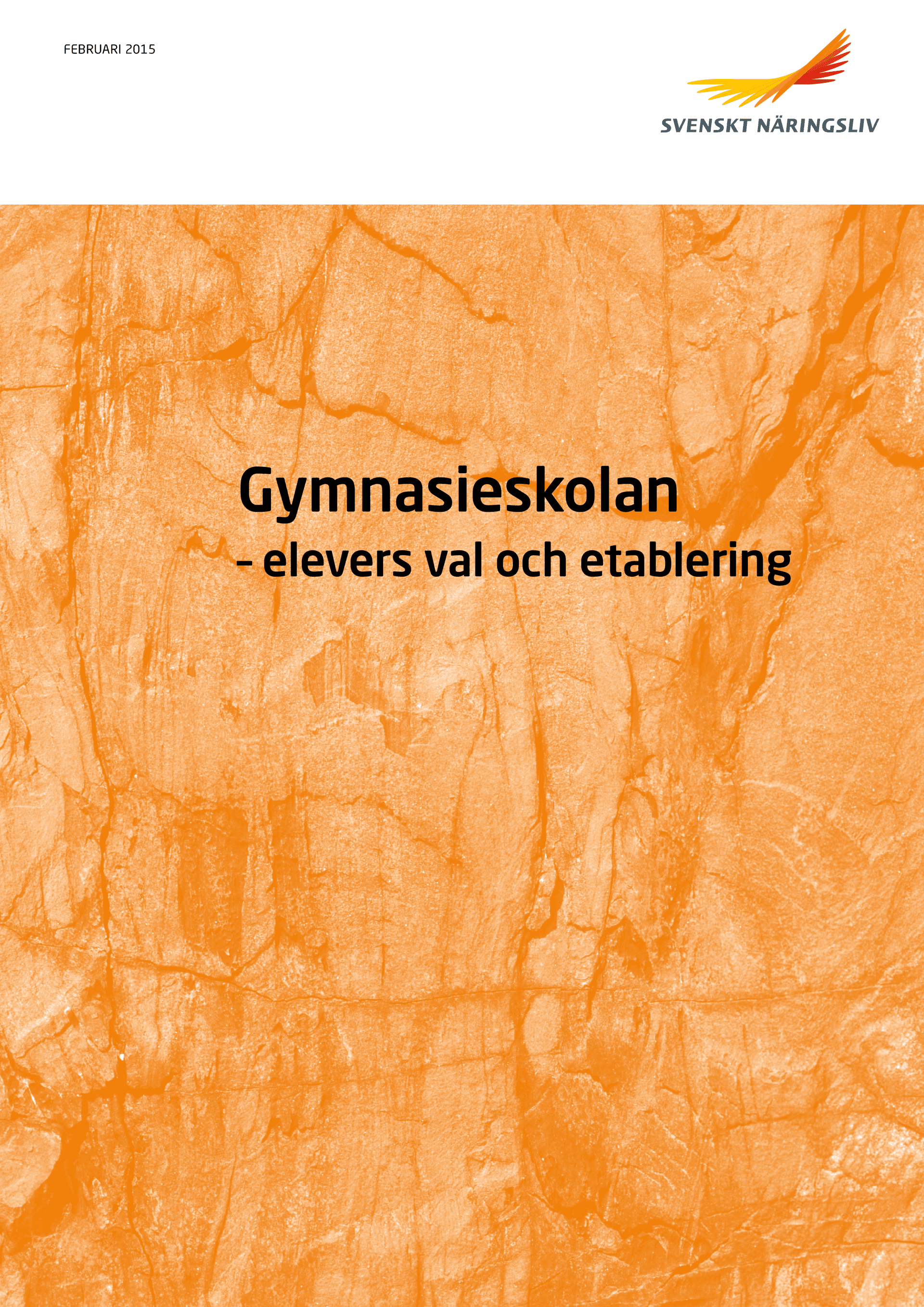 Gymnasierapport.png
