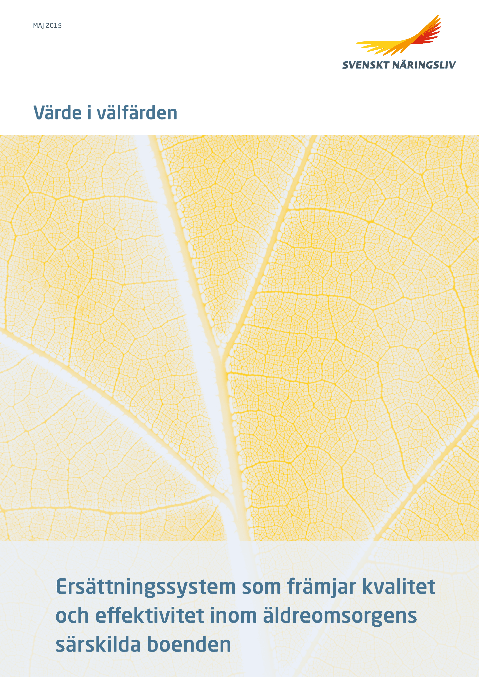 Ersättningssystem som främjar kvalitet och effektivitet i äldreomsorgen.png