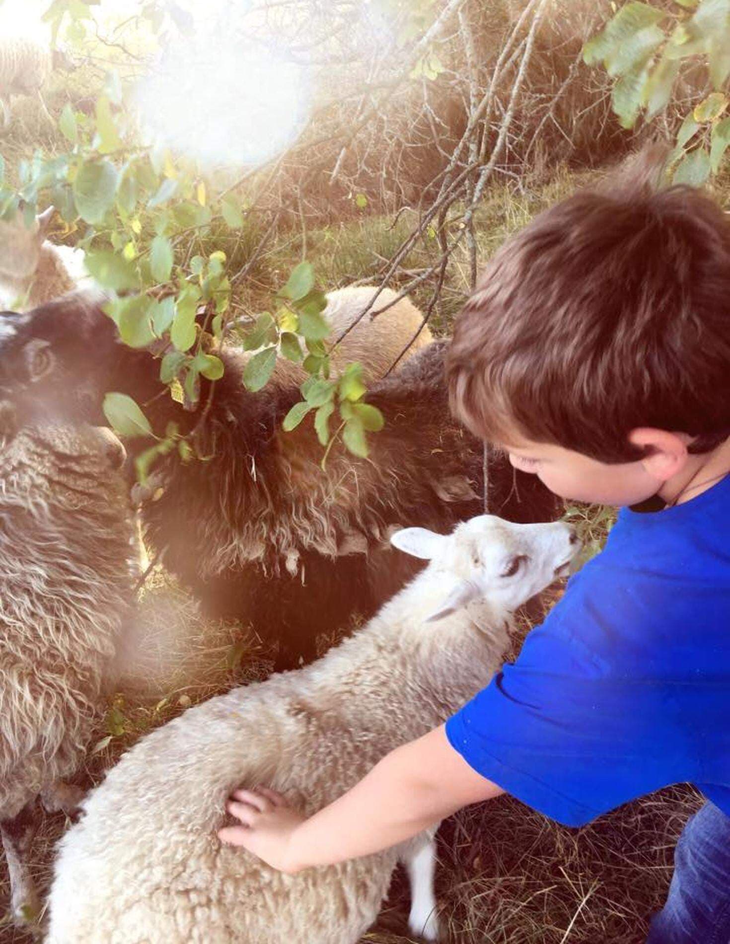 Fritidshemmet Sofies gård