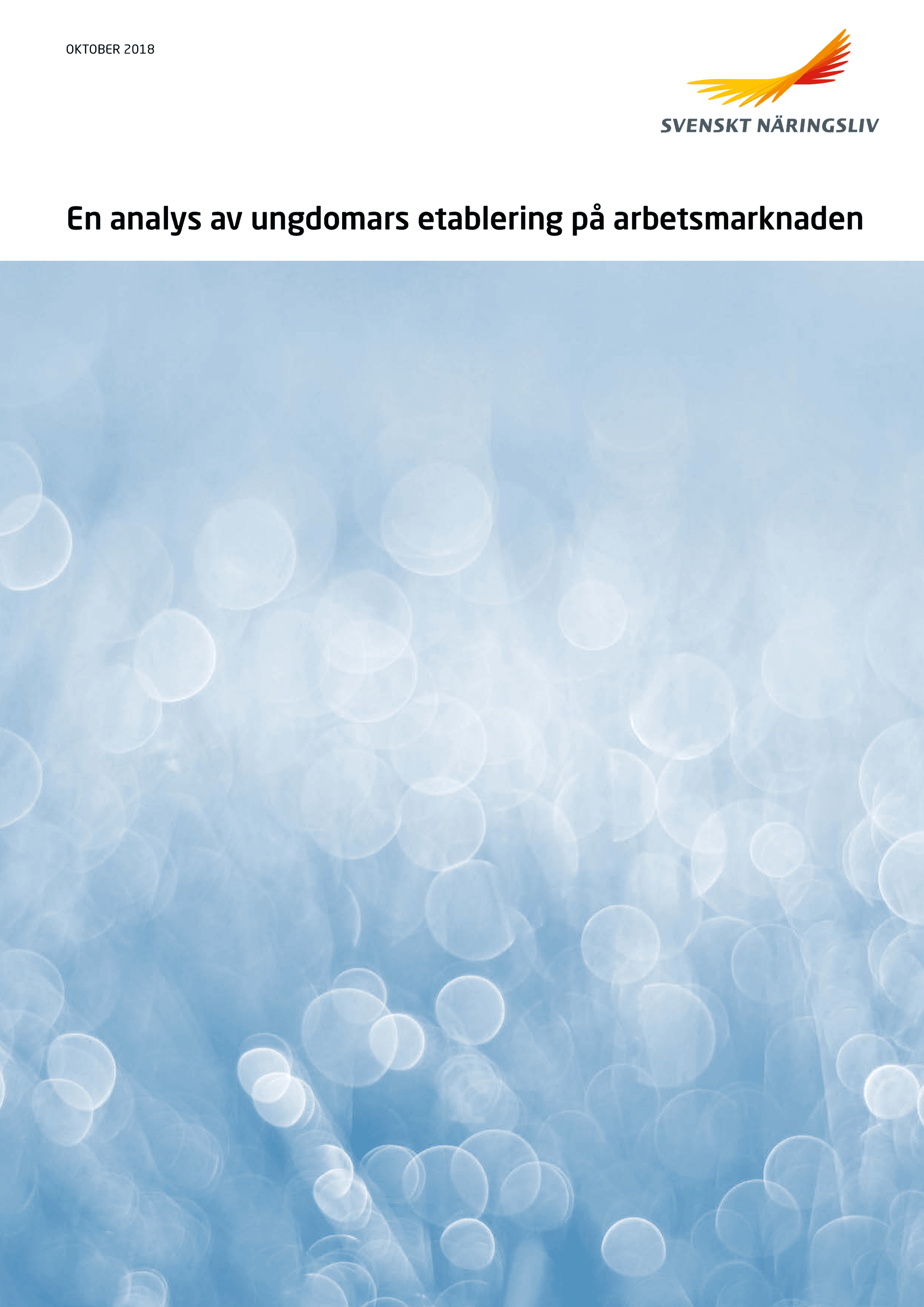 Rapport_Ungdomars_etablering_pa_arbetsmarknaden_webb.pdf.png