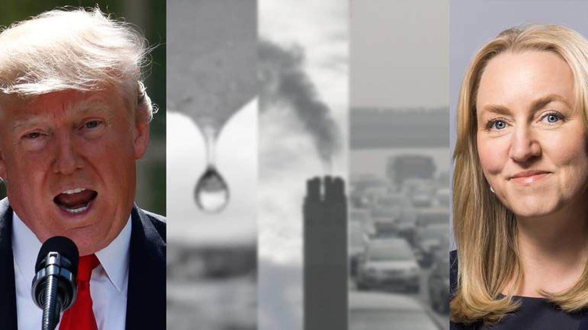 Mr Trump - Maria Sunér Fleming