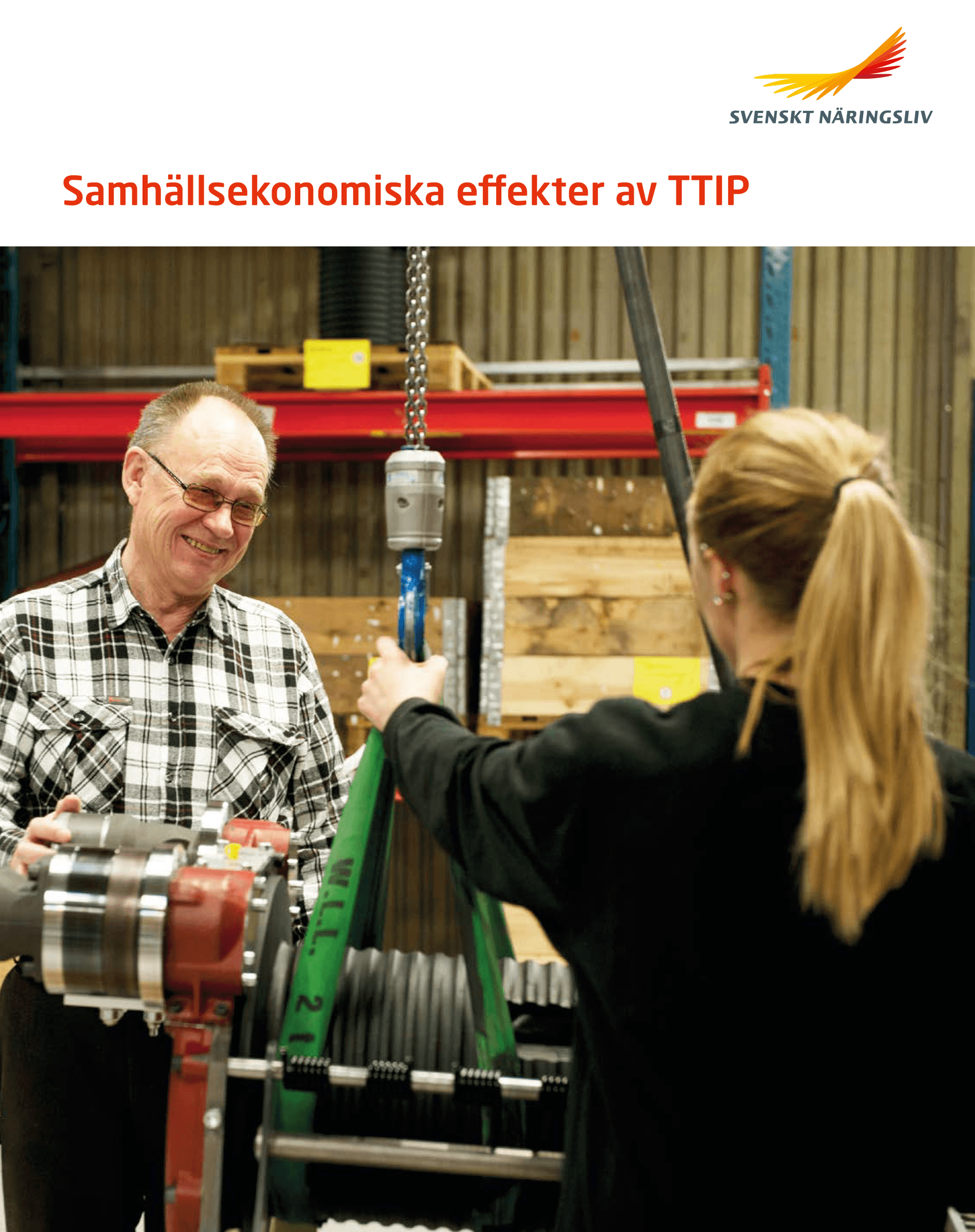 Samhällsekonomiska effekter.pdf.png