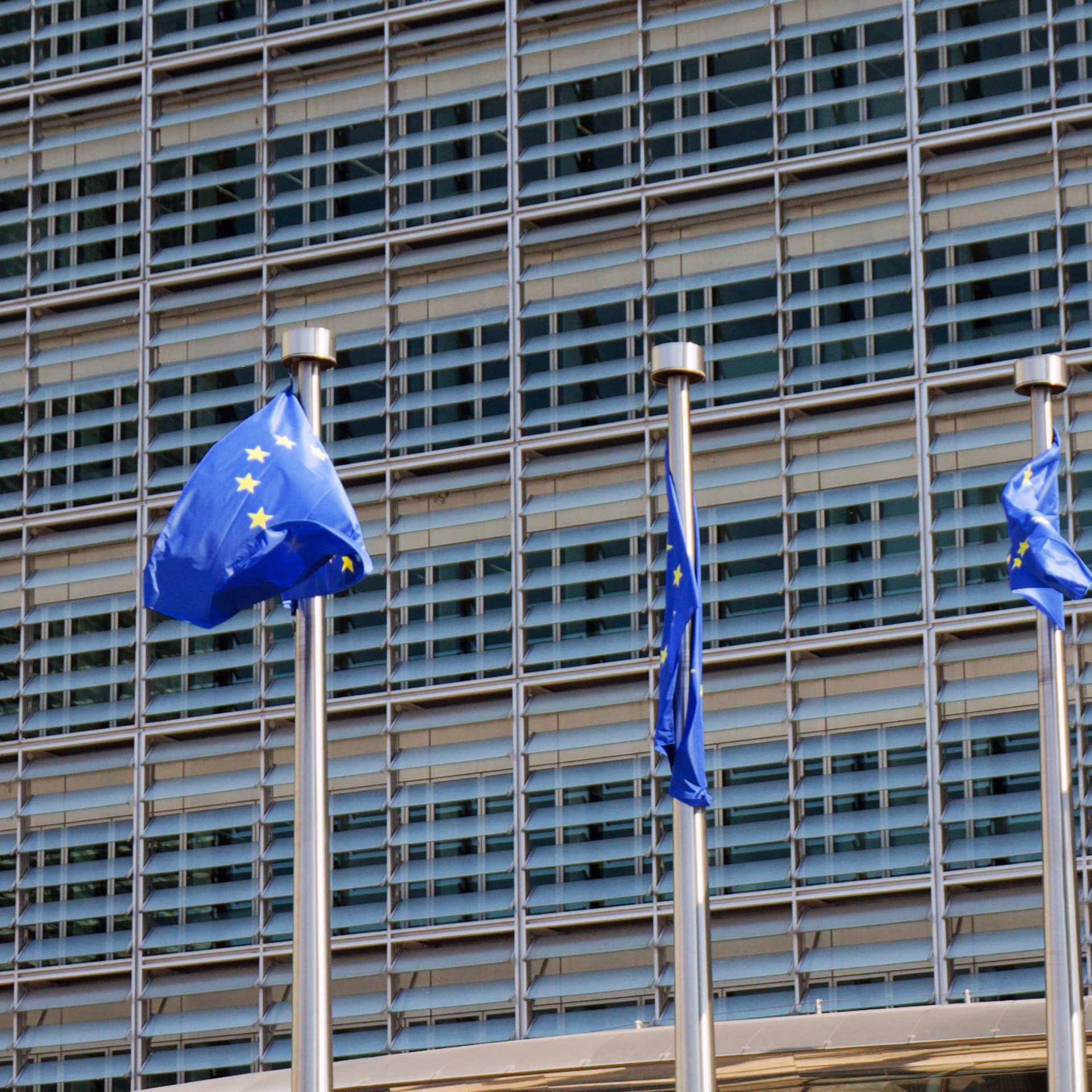 EU-flaggor