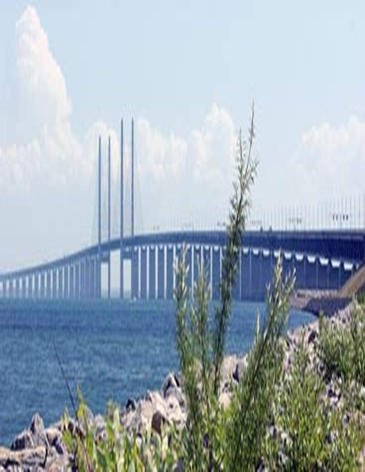 En stor andel av de 20 000 som dagligen gränspendlar över Öresund är svenskar med jobb i Danmark.