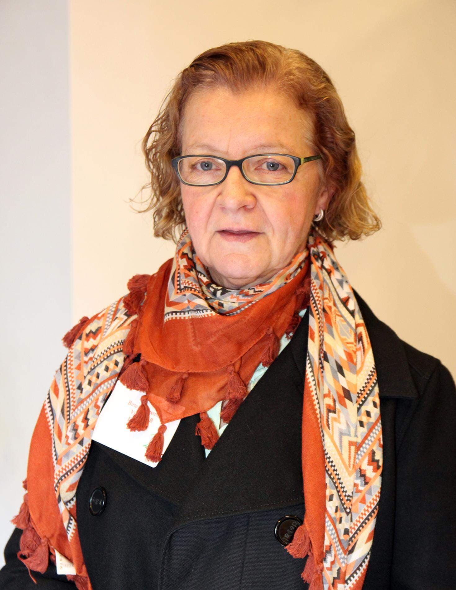 Bitte Ljungström, Vidilab