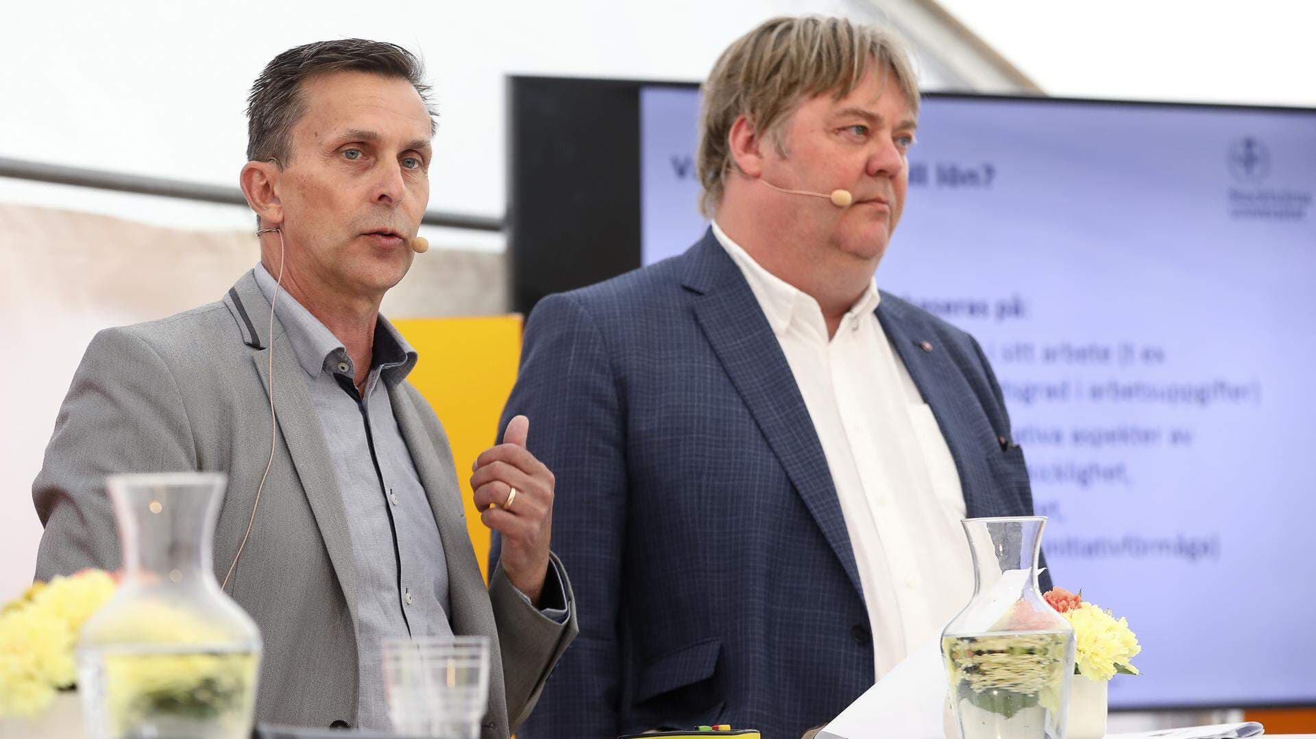 Forskarna Magnus Sverke och Johnny Hellgren