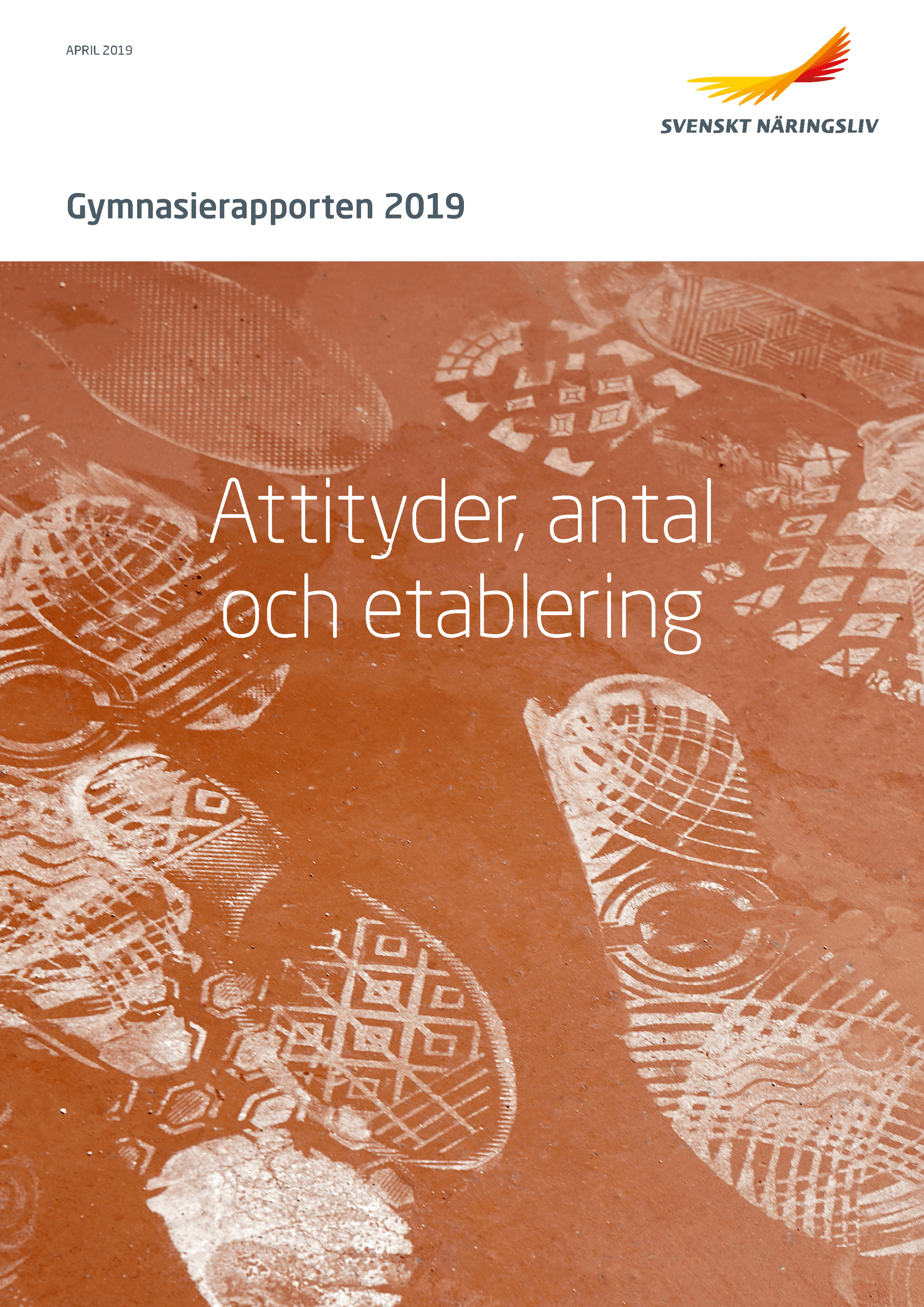 Gymnasierapporten_2019_WEB.pdf.png