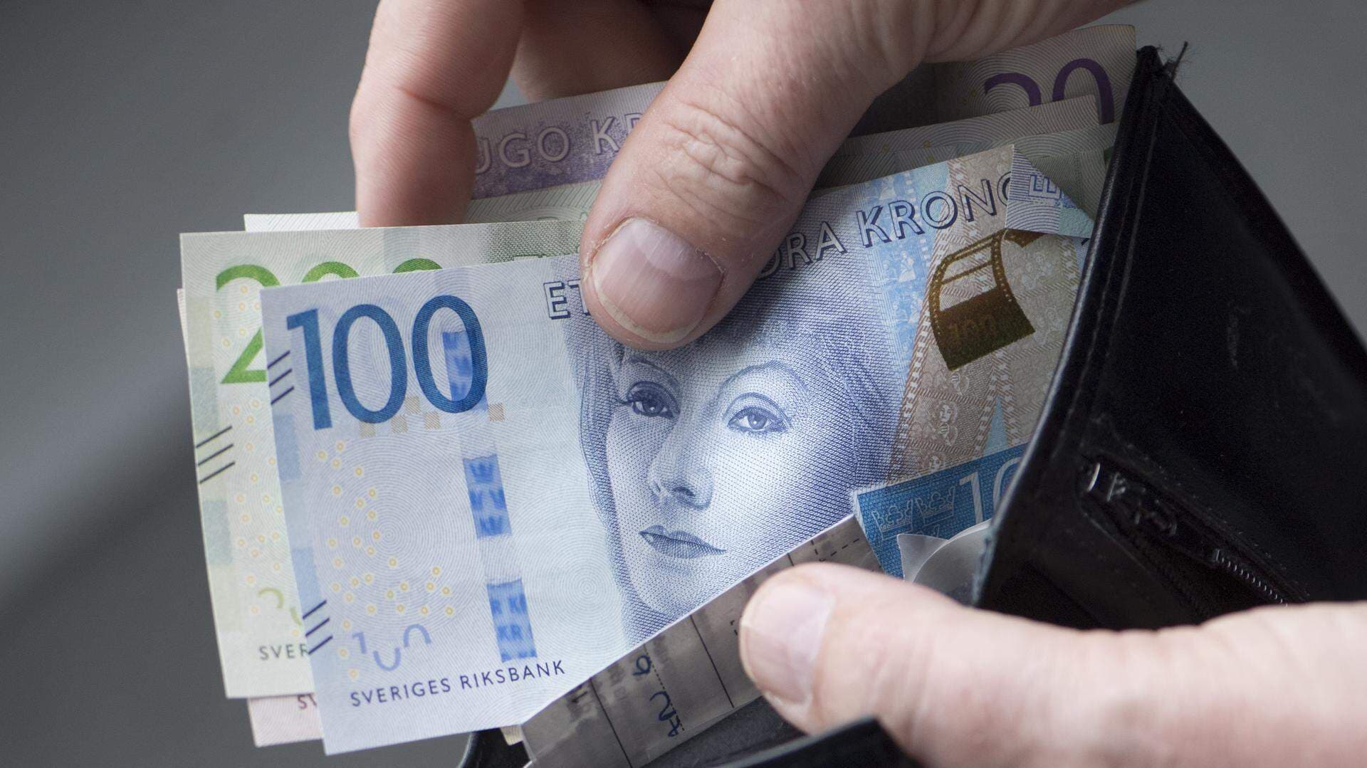 Plånbok Pengar