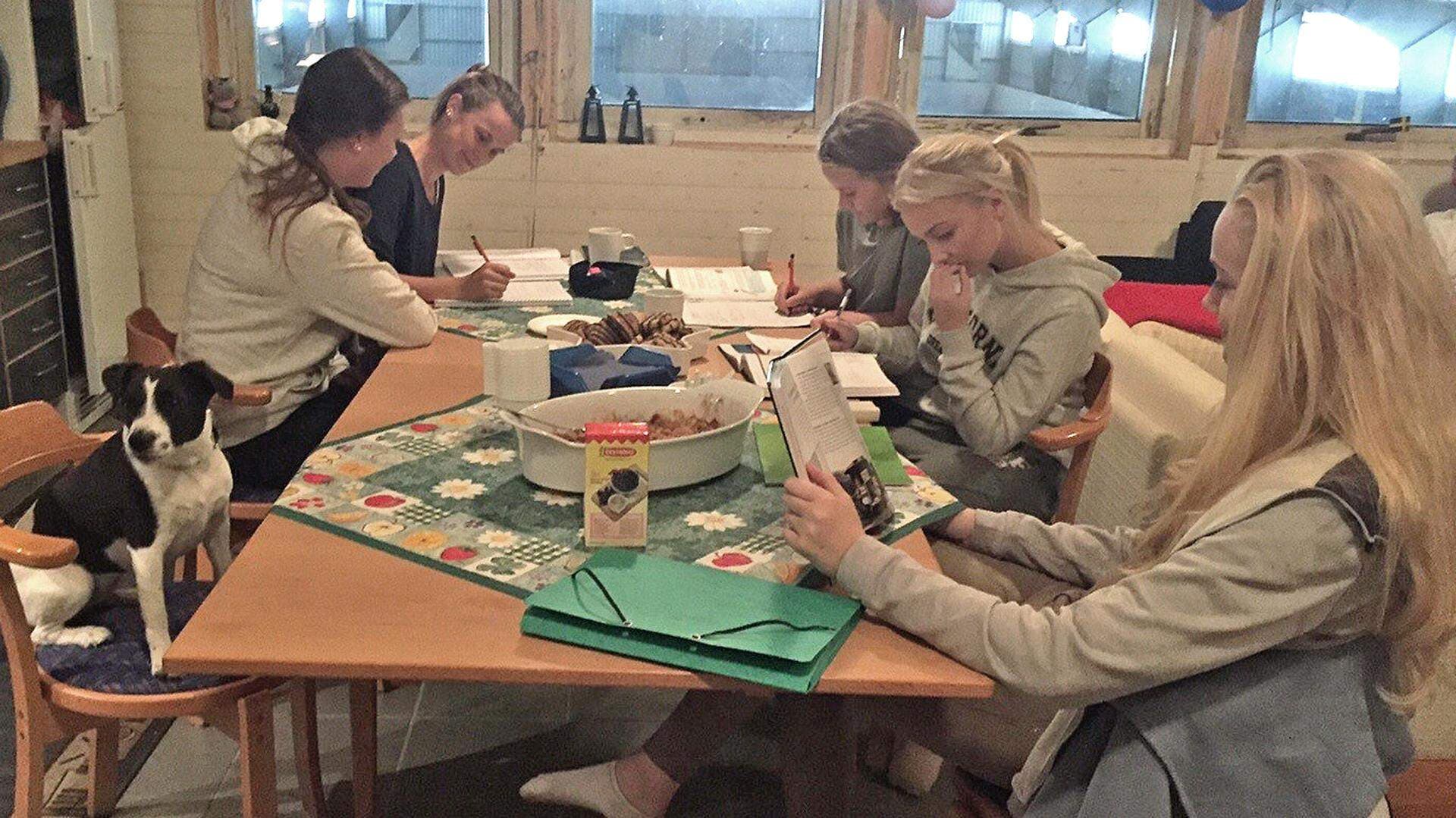 Mattestudier i stallet