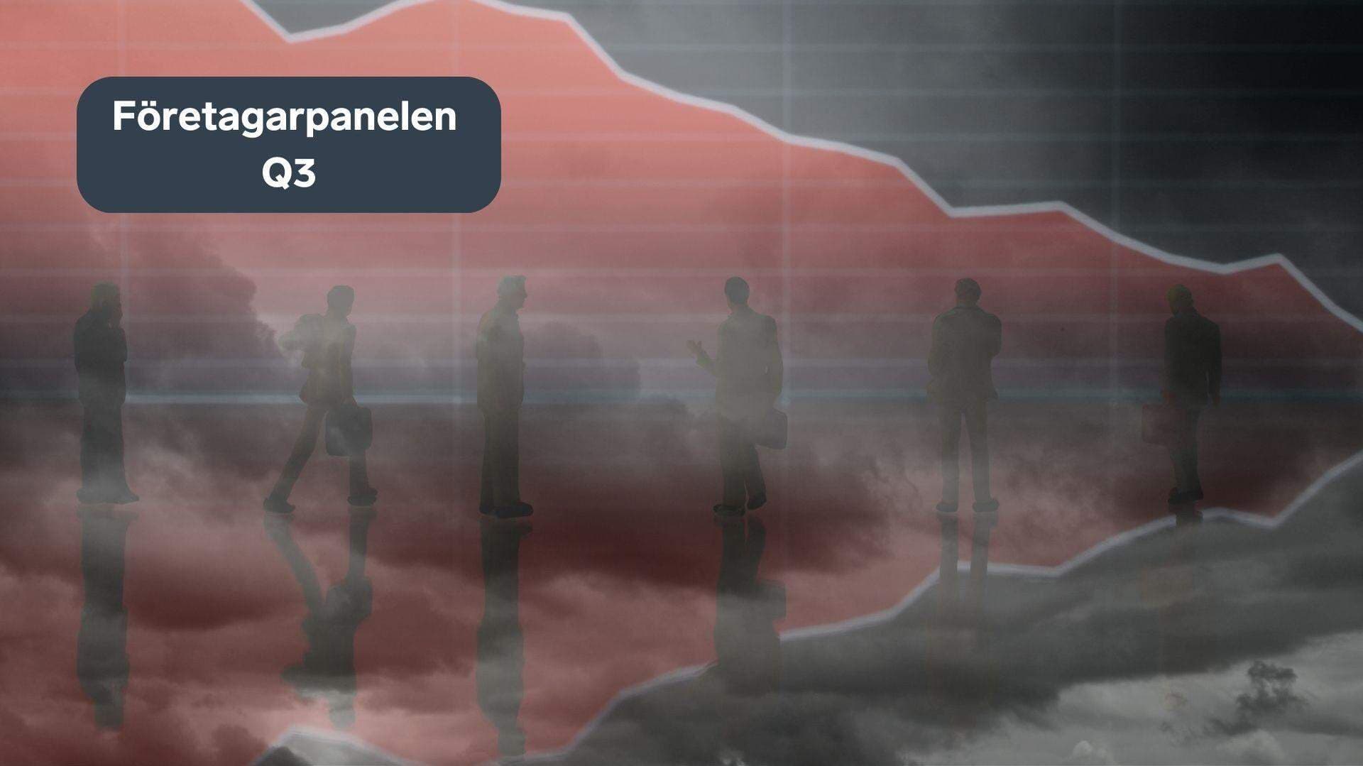 Collage för Företagarpanelen Q3