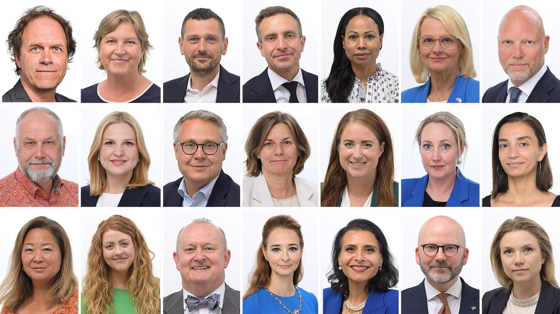 De 21 svenska EU-parlamentariker som tillträdde 2024.