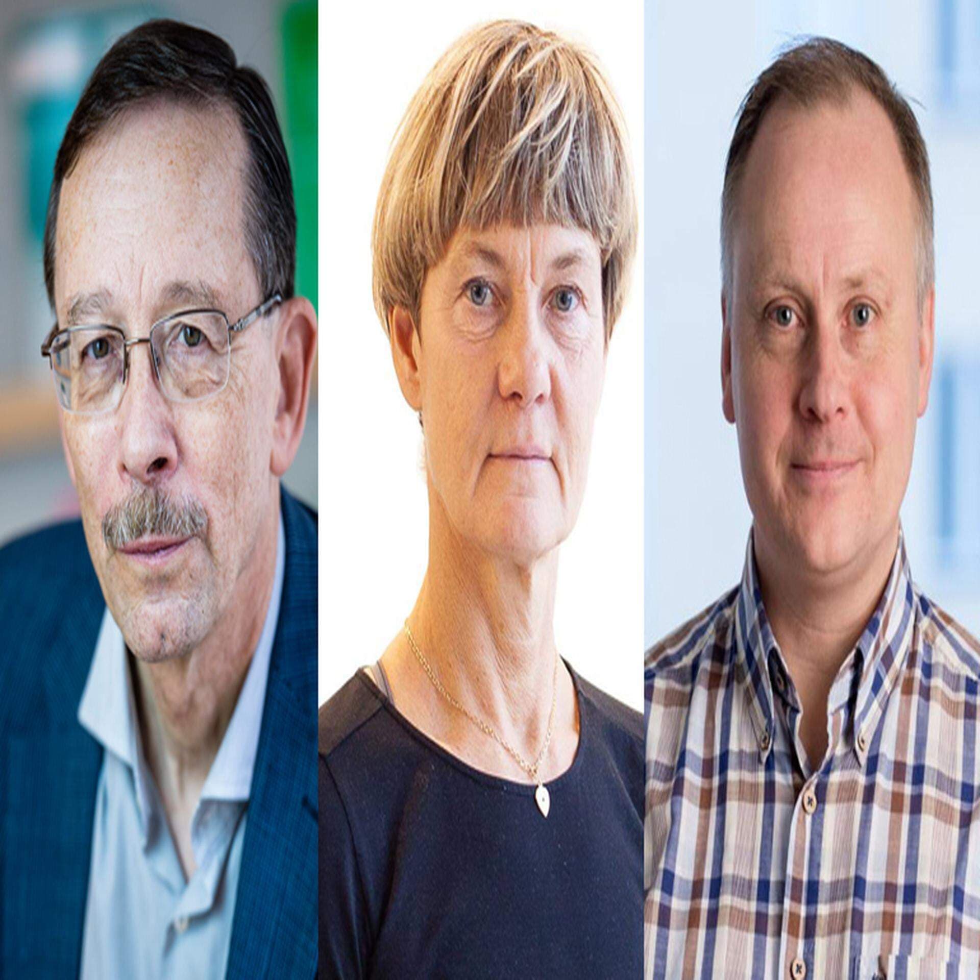 Lars Calmfors, Susanne Ackum, Patrick Joyce