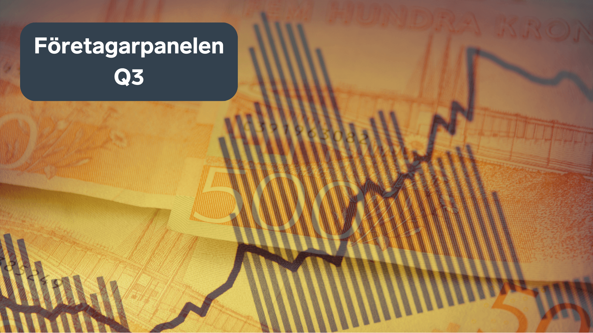 Collage av graf och kontanter för Företagarpanelen Q3