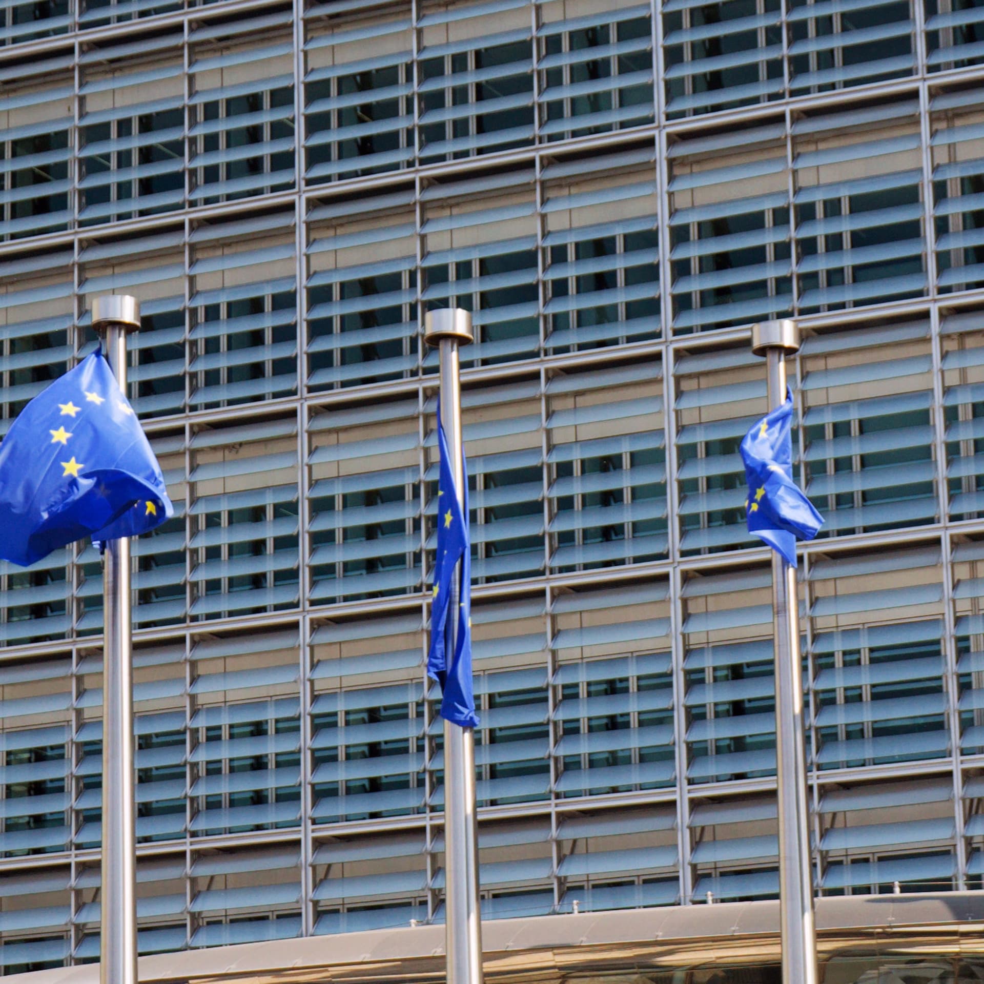 EU-flaggor