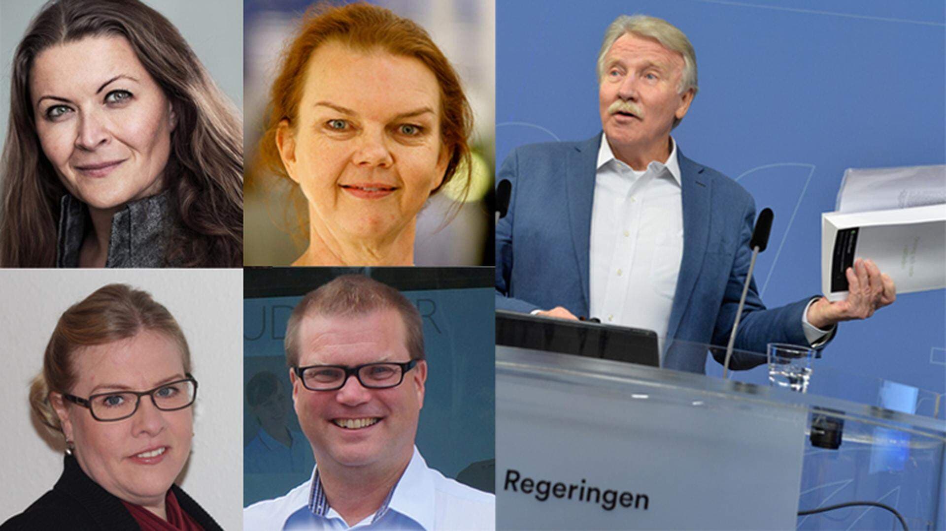 företagare och reepalu