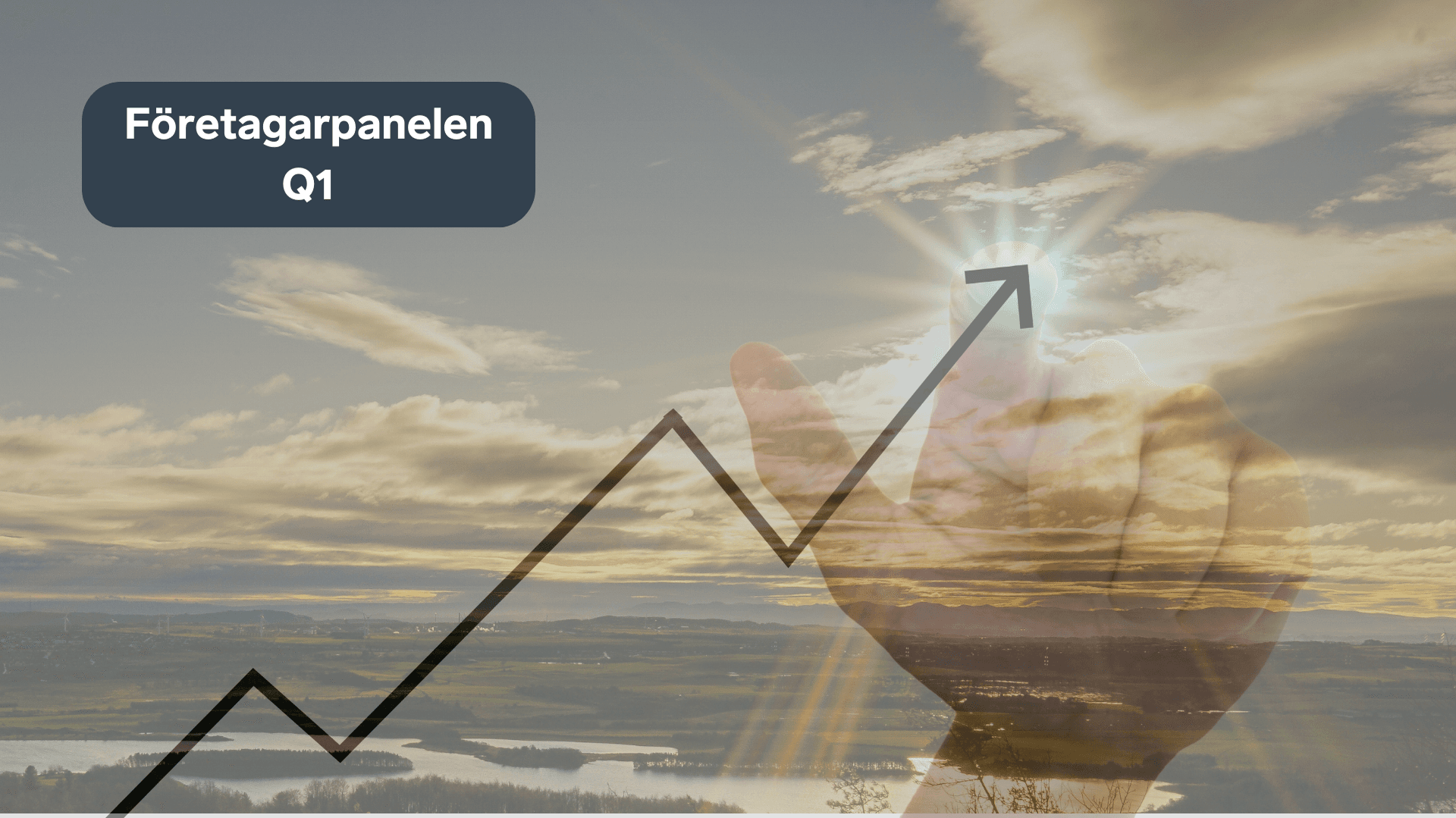 Collage för Q1 Företagarpanelen 2024