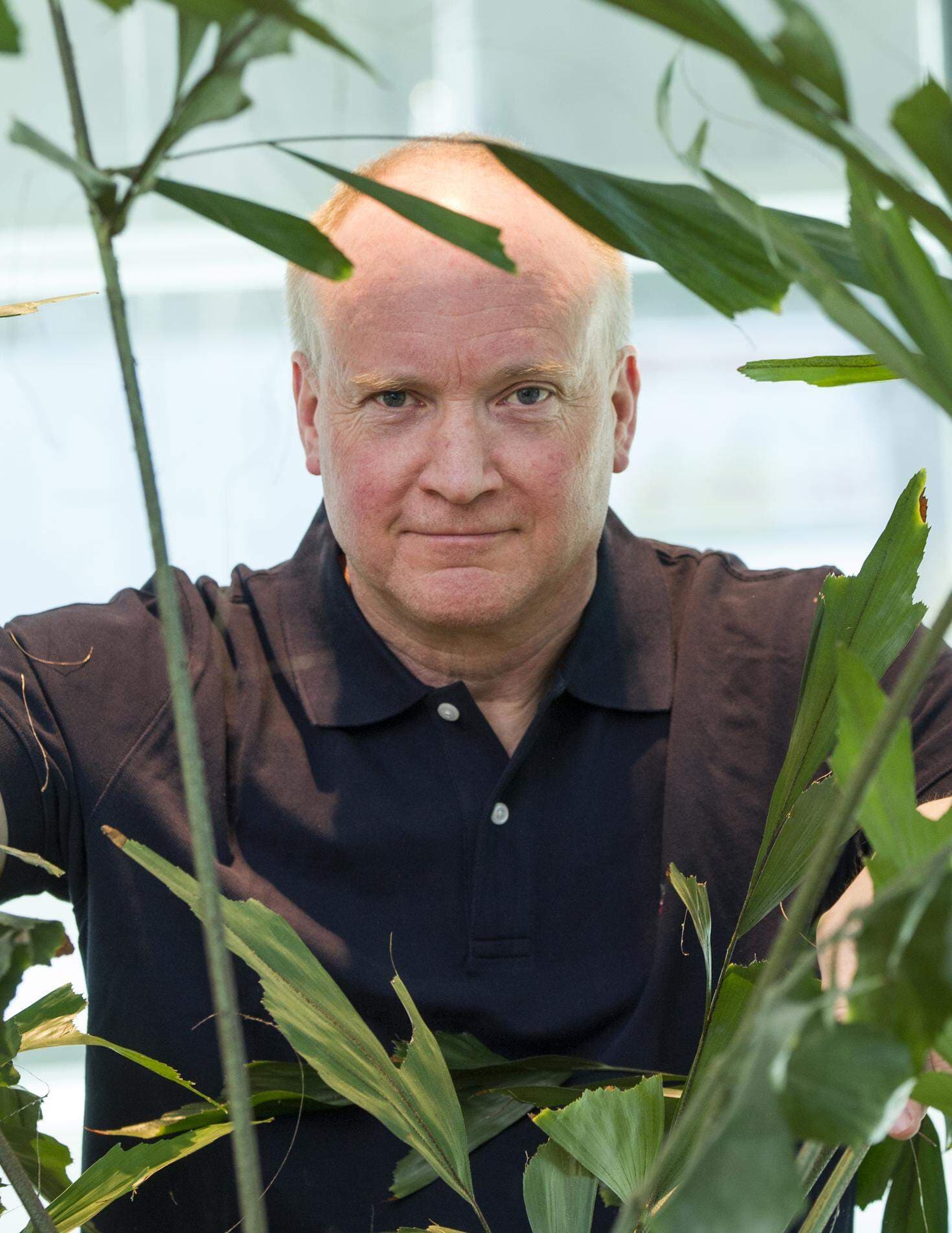 Anders Dahlberg, vd Cenva.