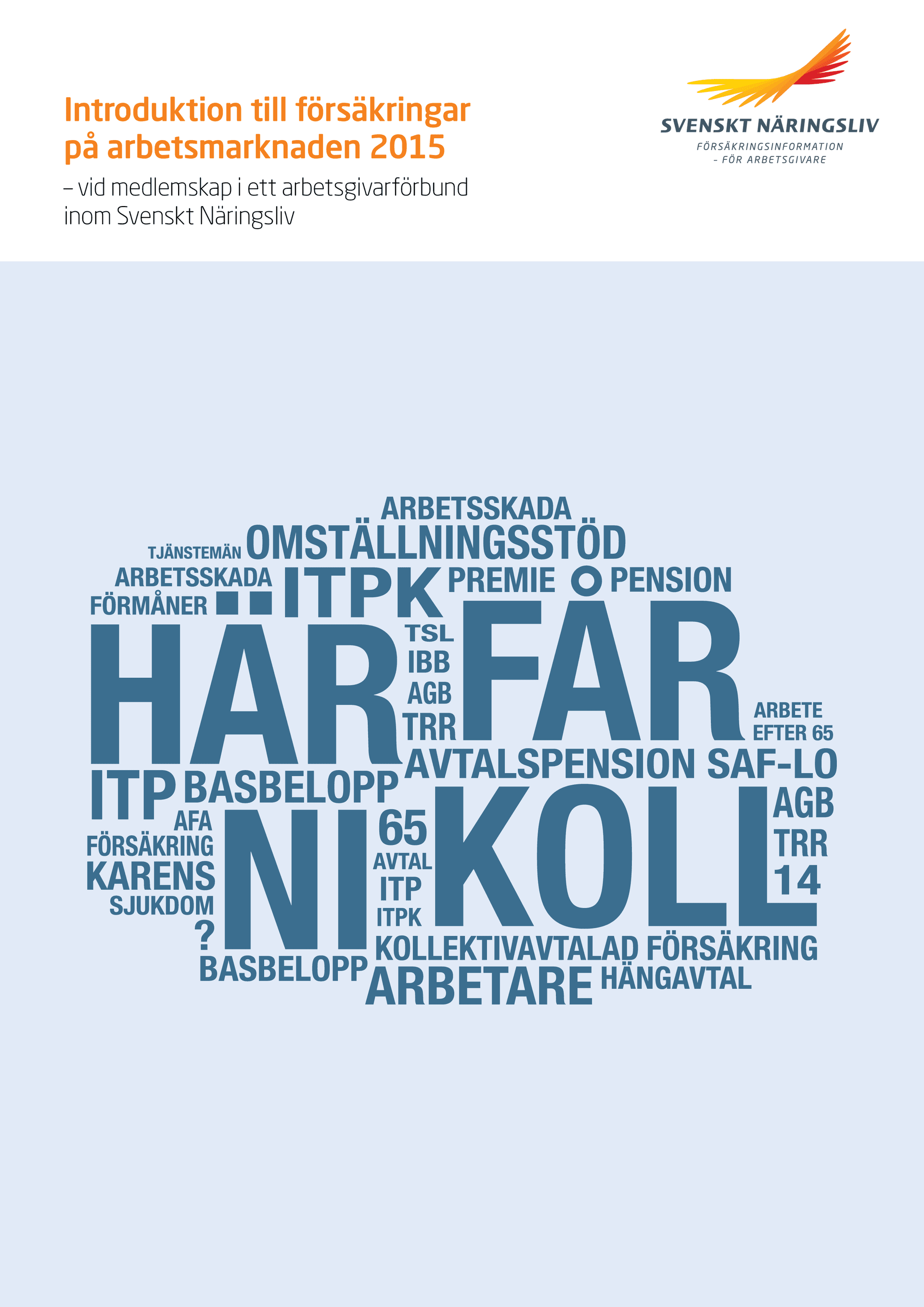 Introduktion till försäkringar på arbetsmarknaden.png