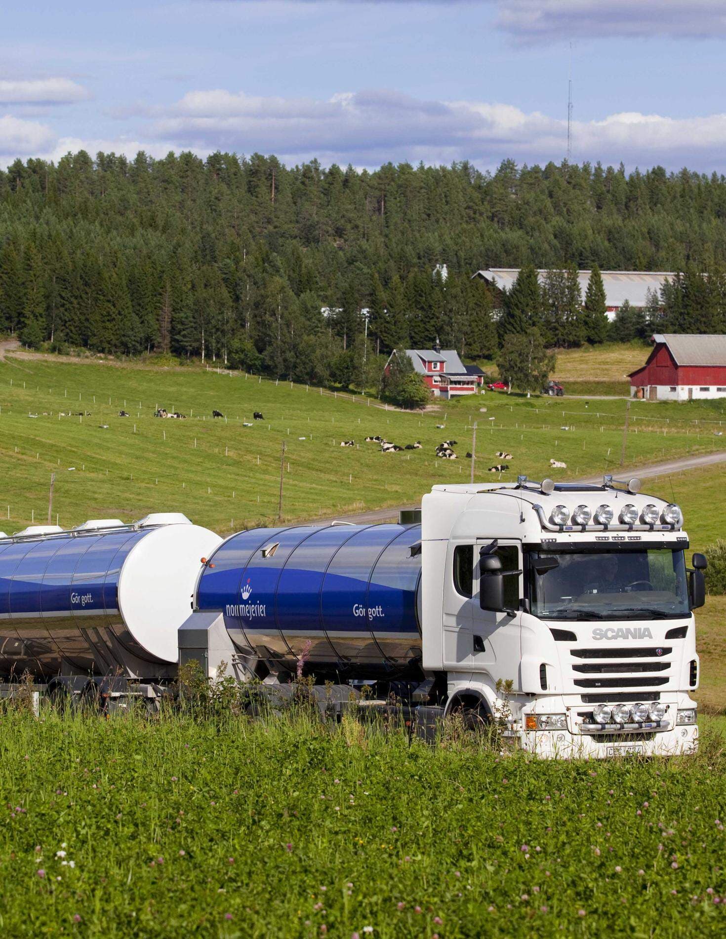 Transport, Norrmejerier