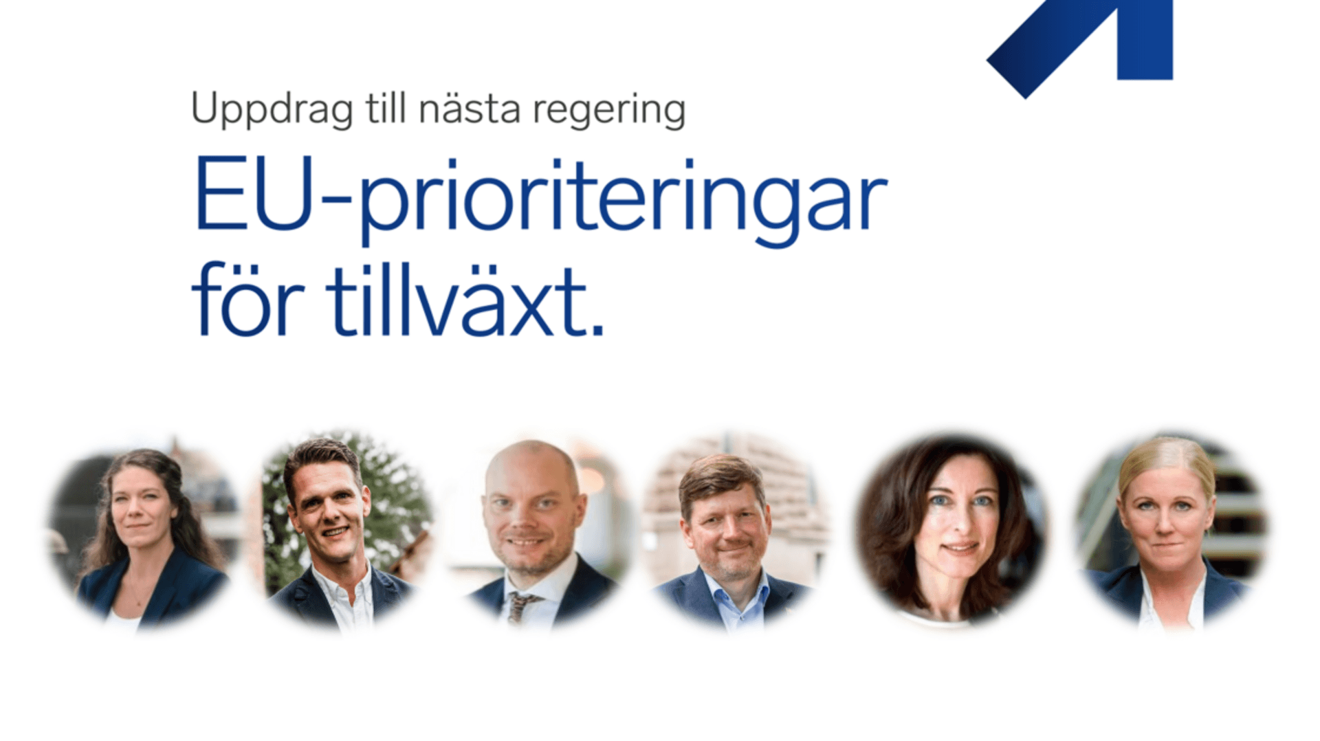 Seminarium Vilka EU-frågor måste stå högst på agendan?