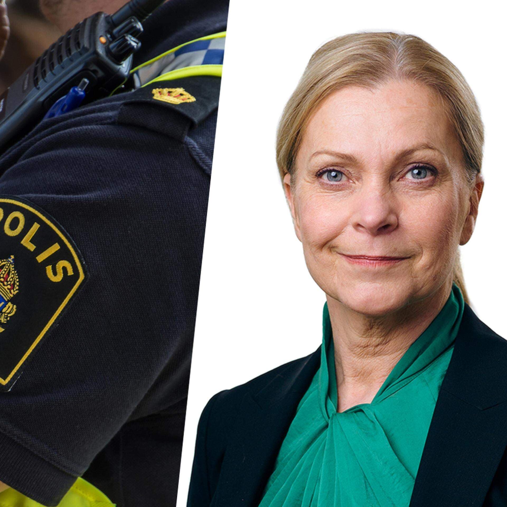Lina Fjelkegård, utredare på Brå, och Lena Nitz, ansvarig för brott- och trygghetspolicy på Svenskt Näringsliv.