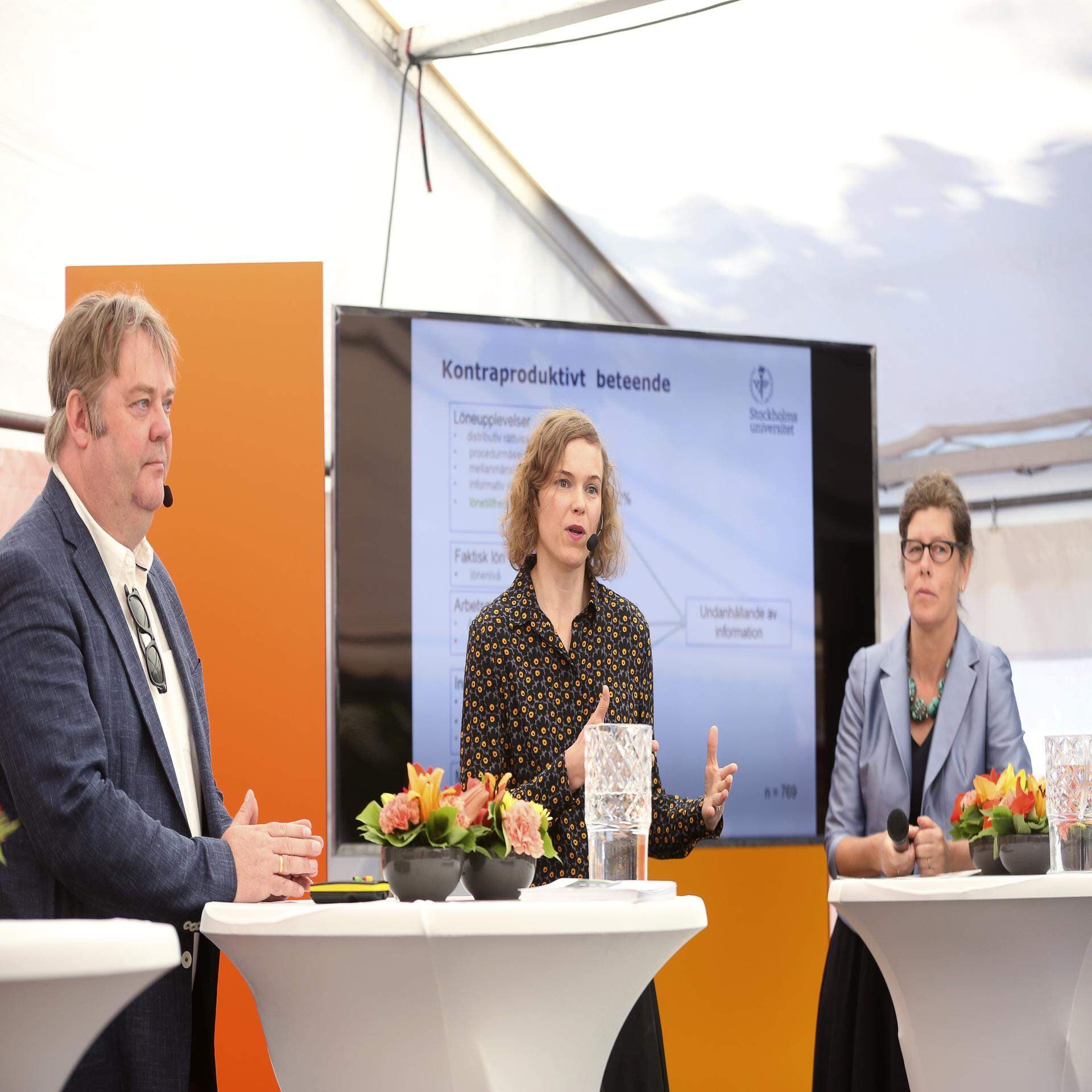 Löneseminarium Almedalen