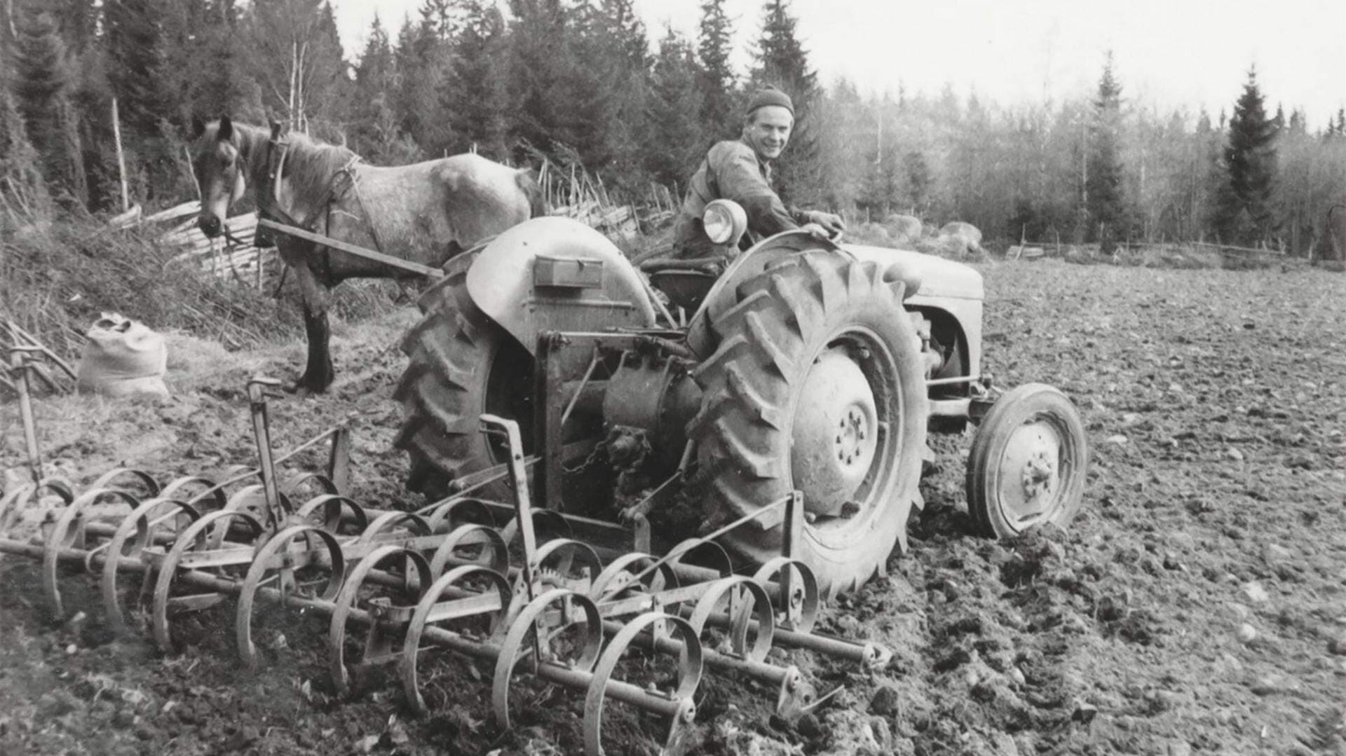 näringslivshistoria