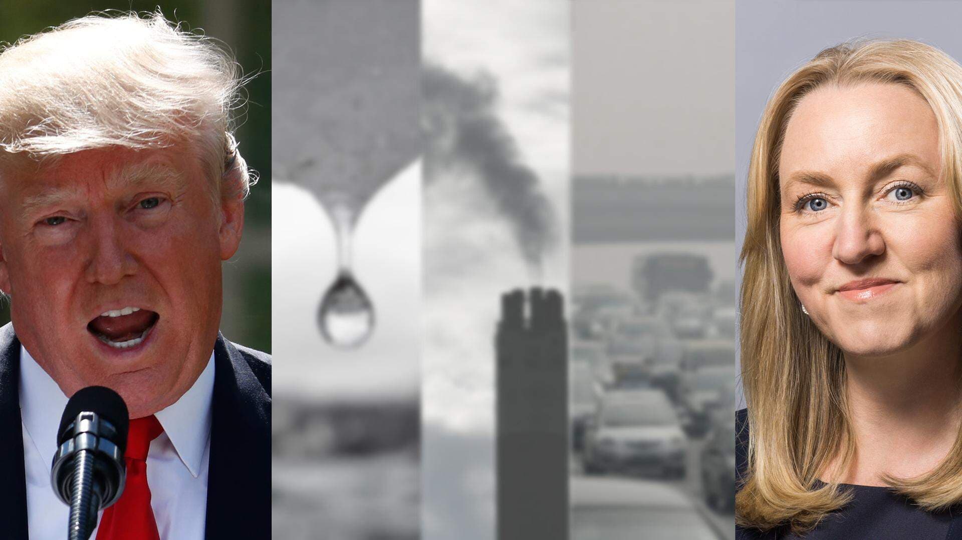 trump/sunér