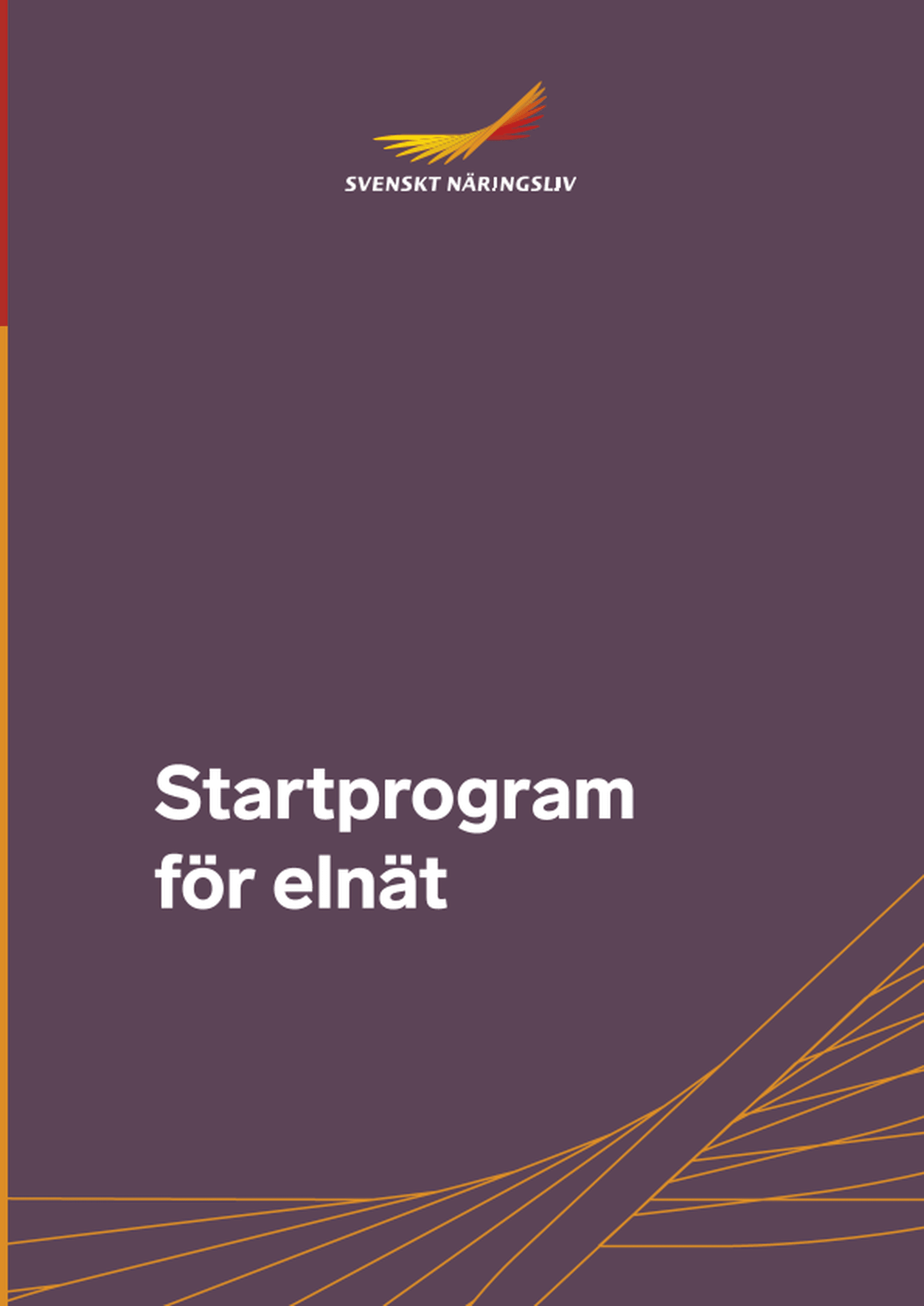 Omslagsbild - Rapport