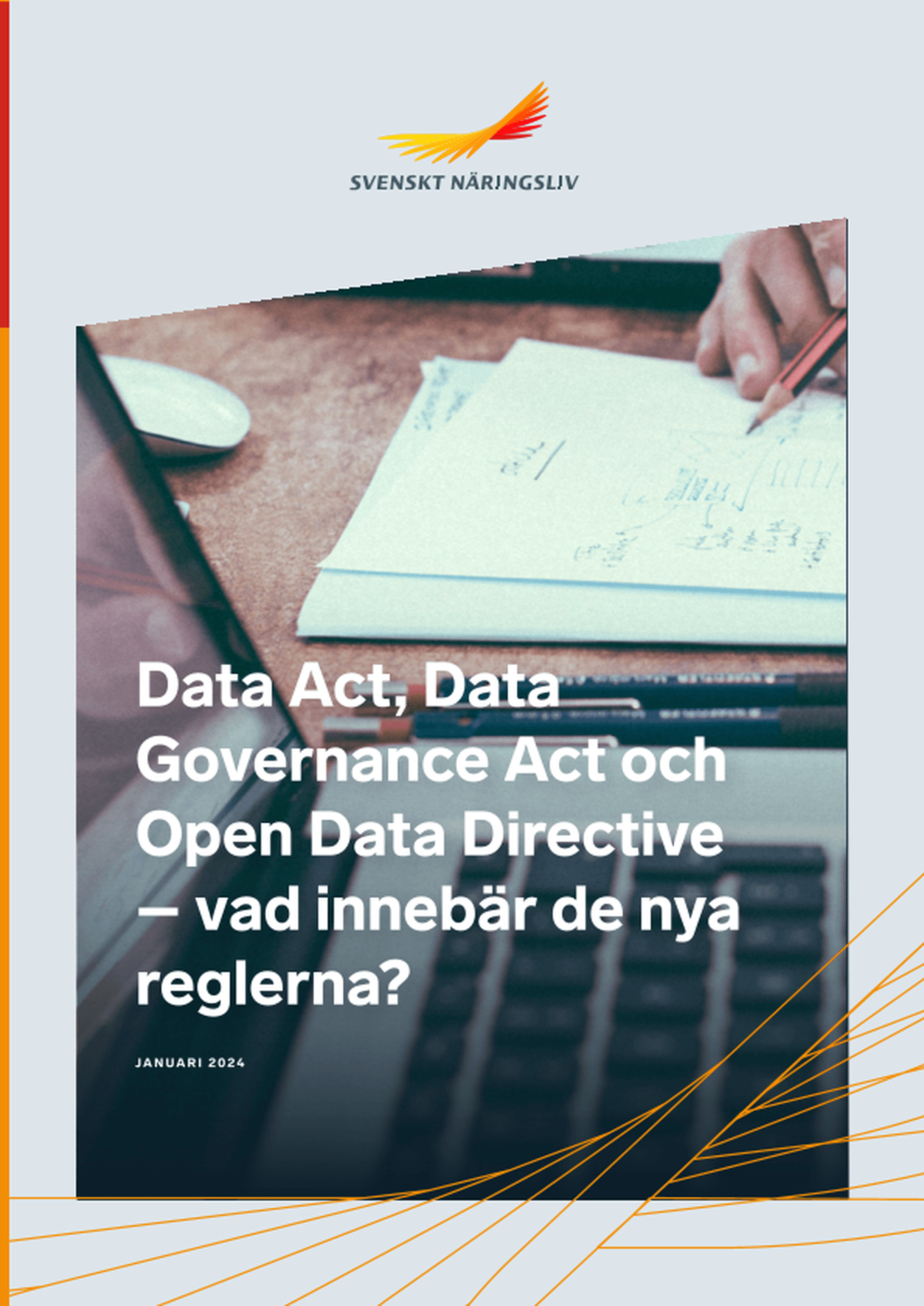 Omslagsbild - Rapport