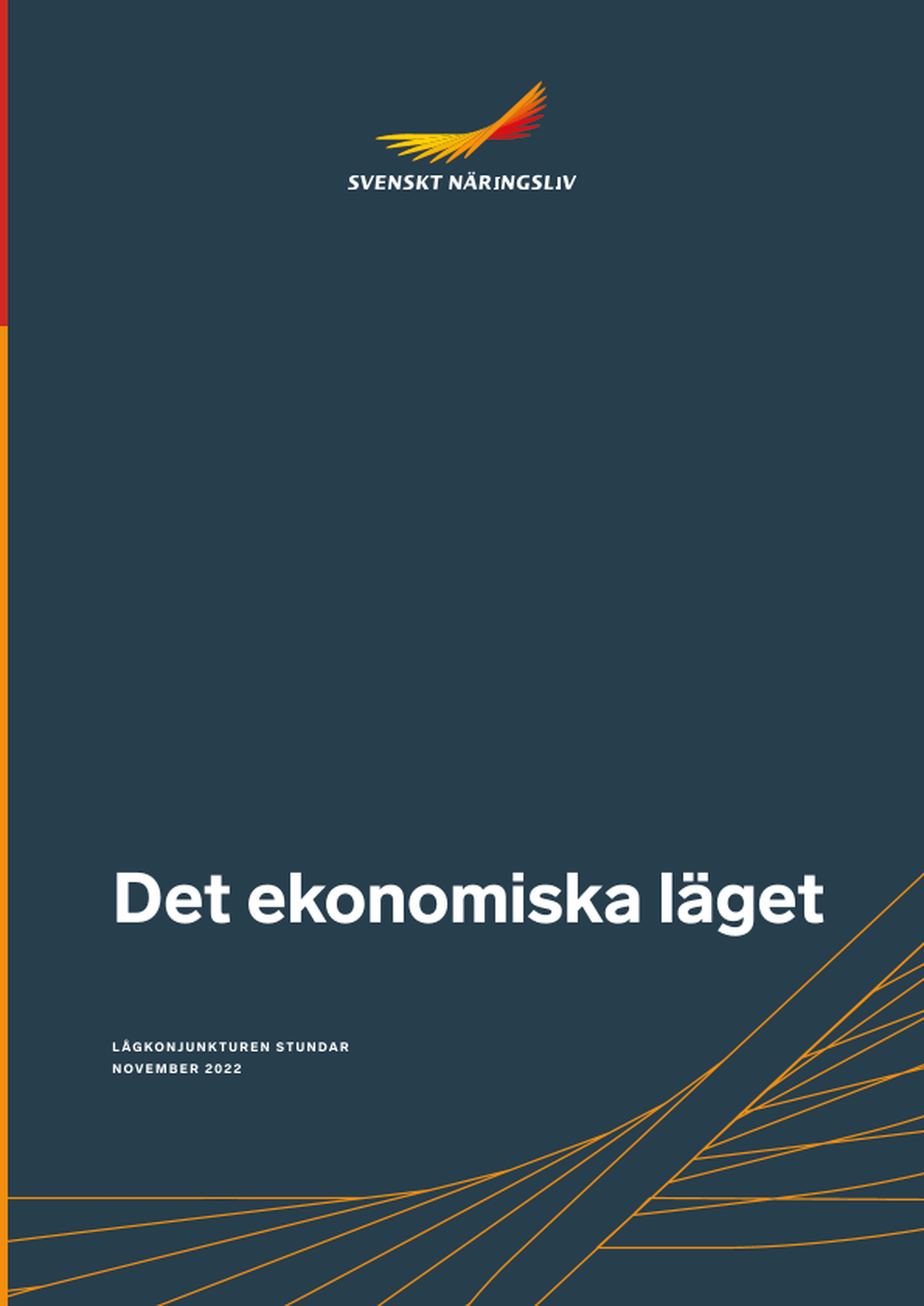 Omslagsbild - Rapport