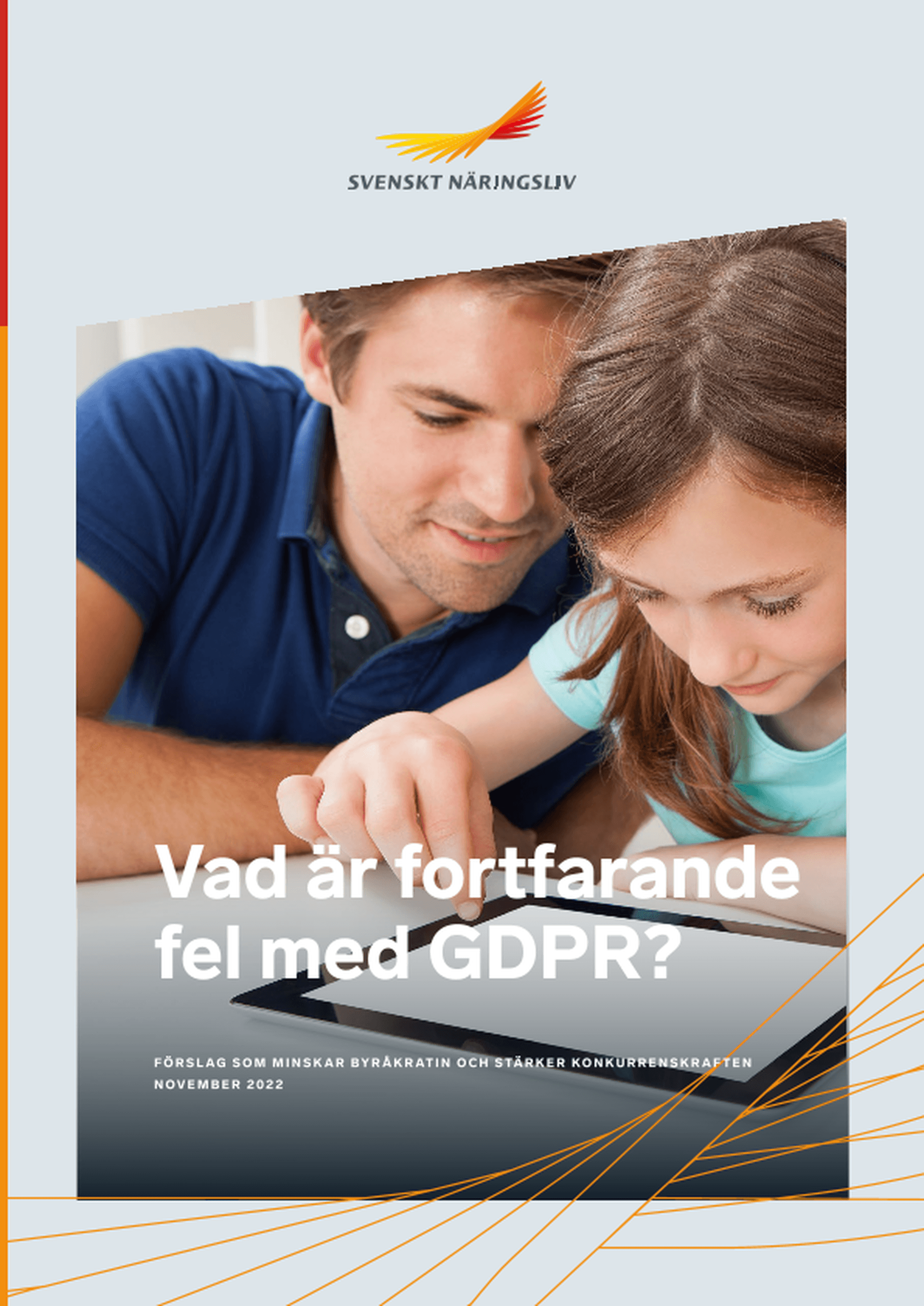 Omslagsbild - Rapport