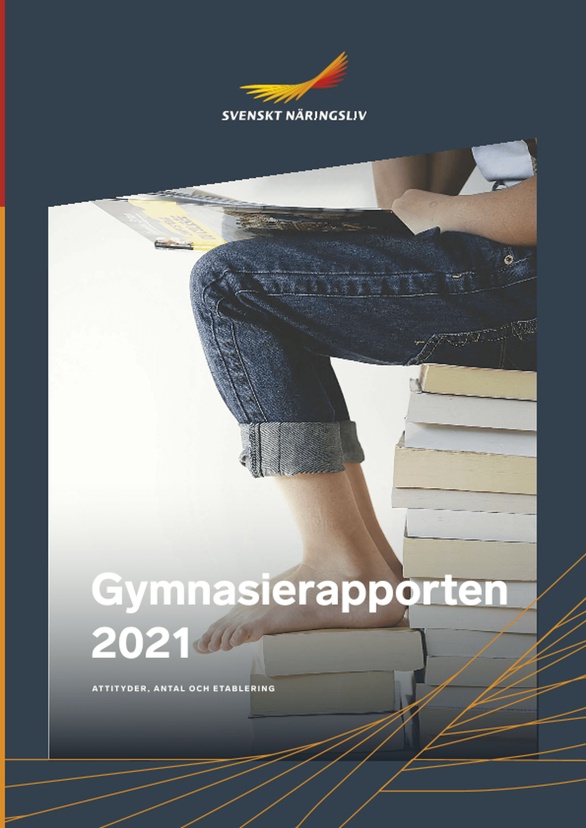 Omslagsbild - Rapport