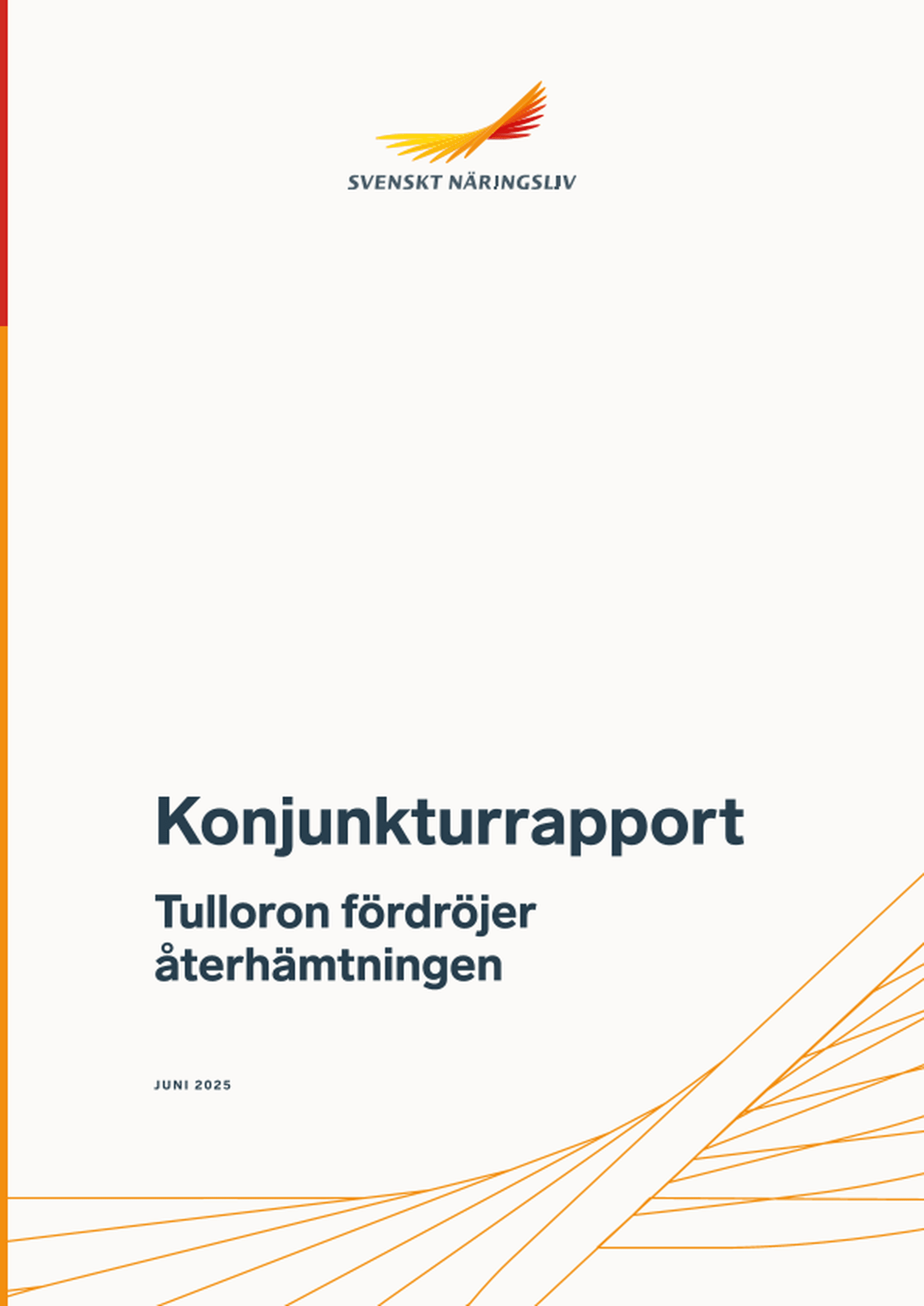 Omslagsbild - Rapport