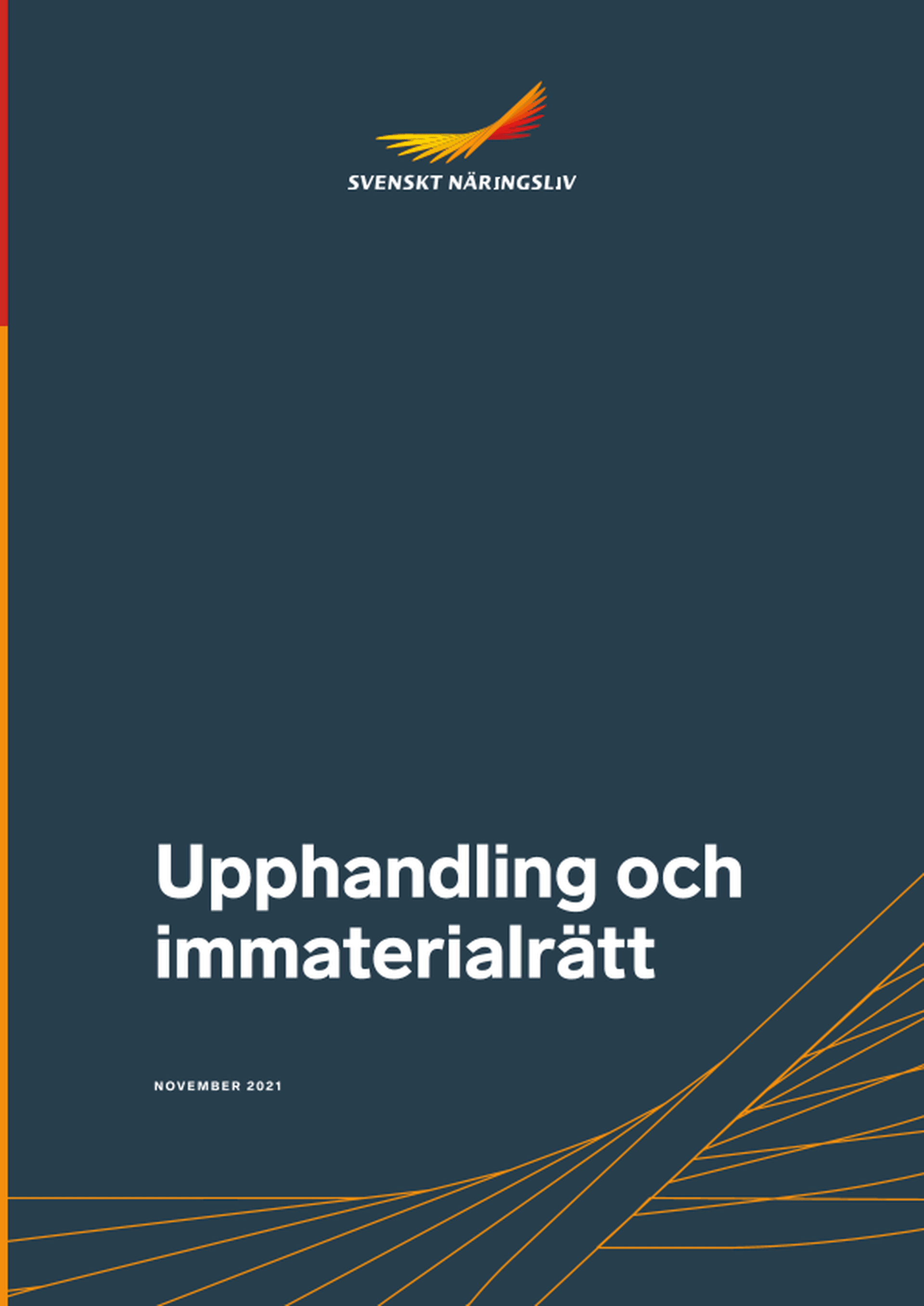 Omslagsbild - Rapport