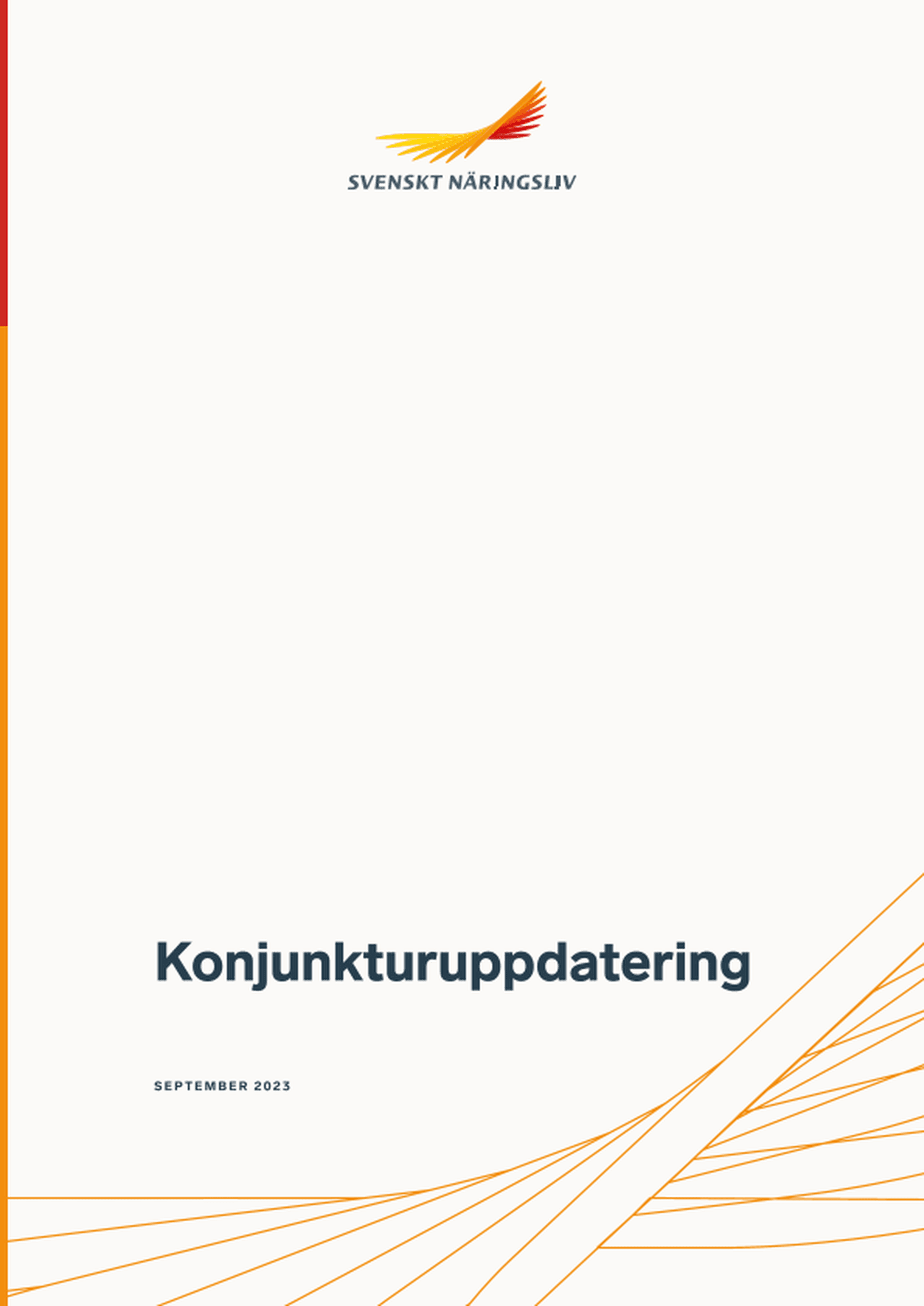 Omslagsbild - Rapport