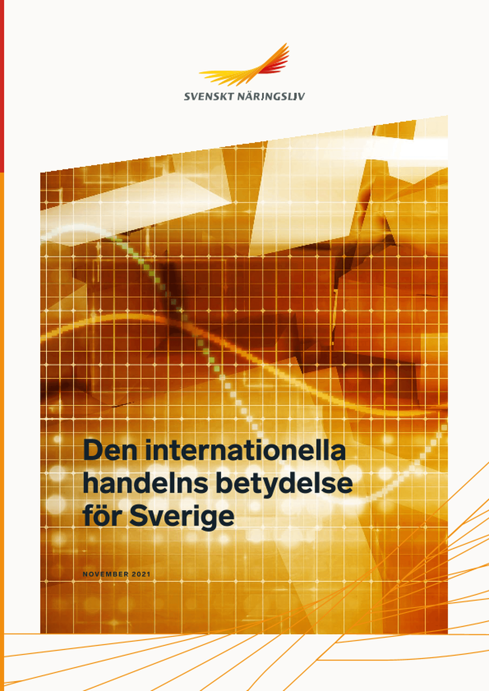 Omslagsbild - Rapport