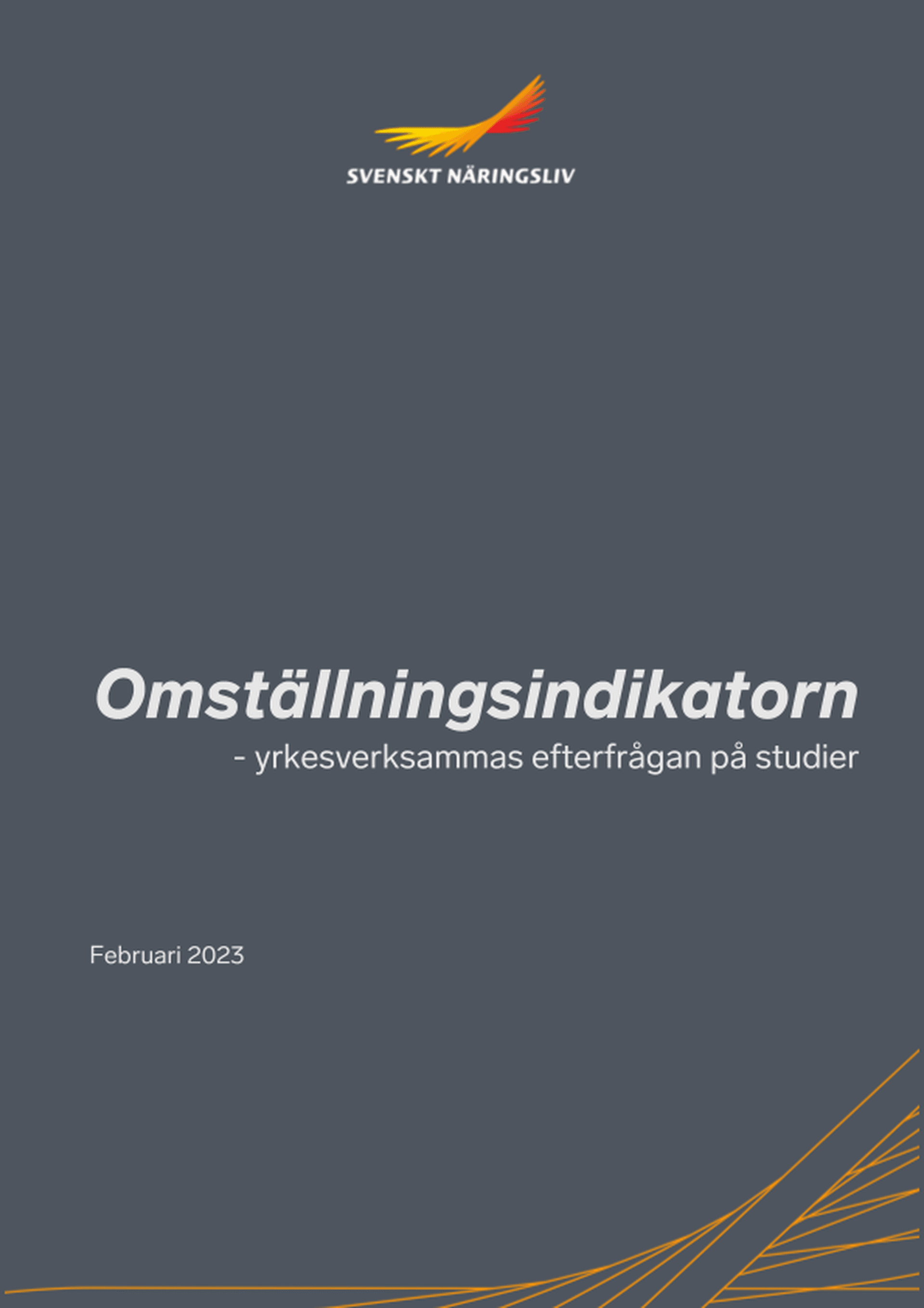 Omslagsbild - Rapport