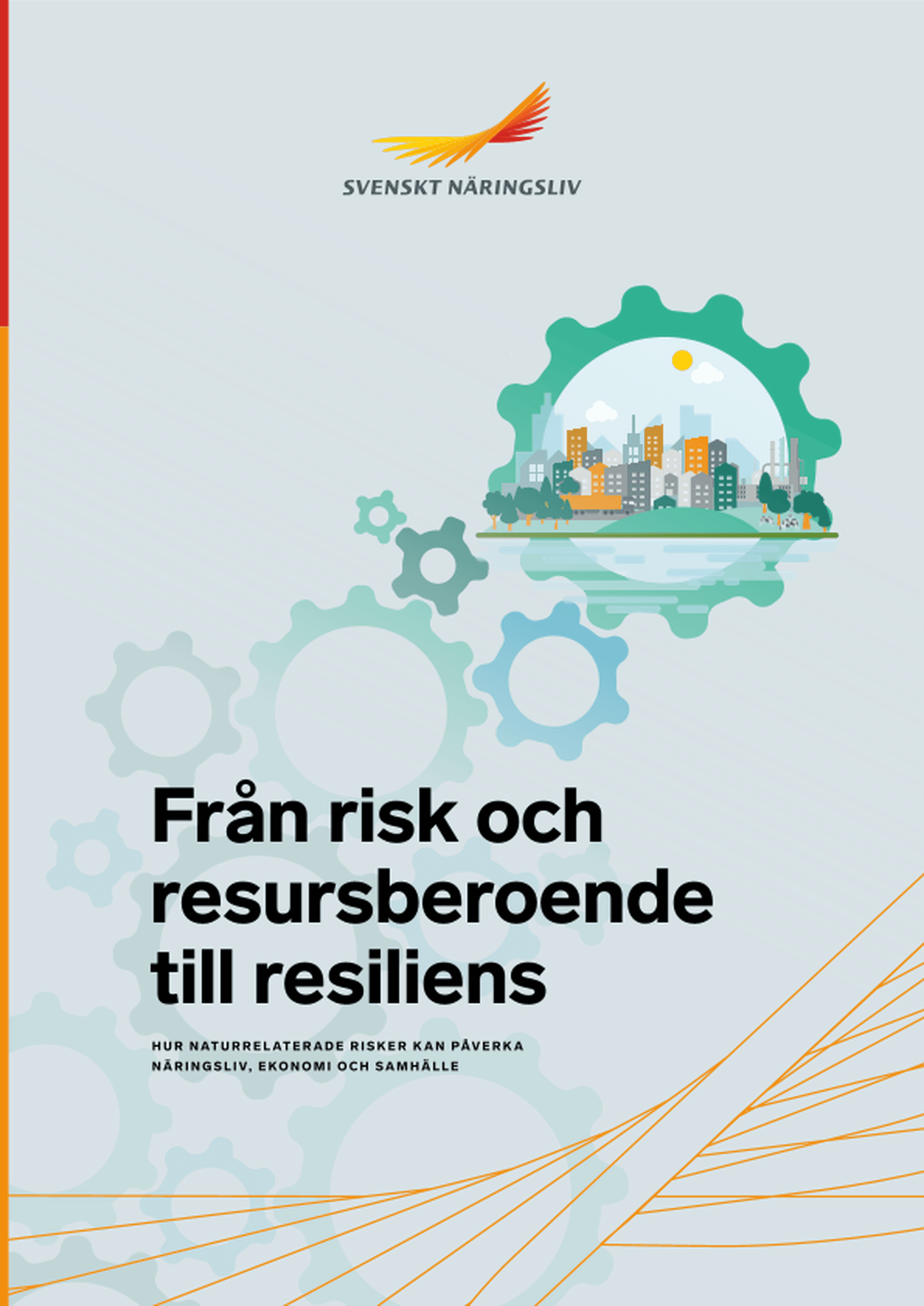 Omslagsbild - Rapport