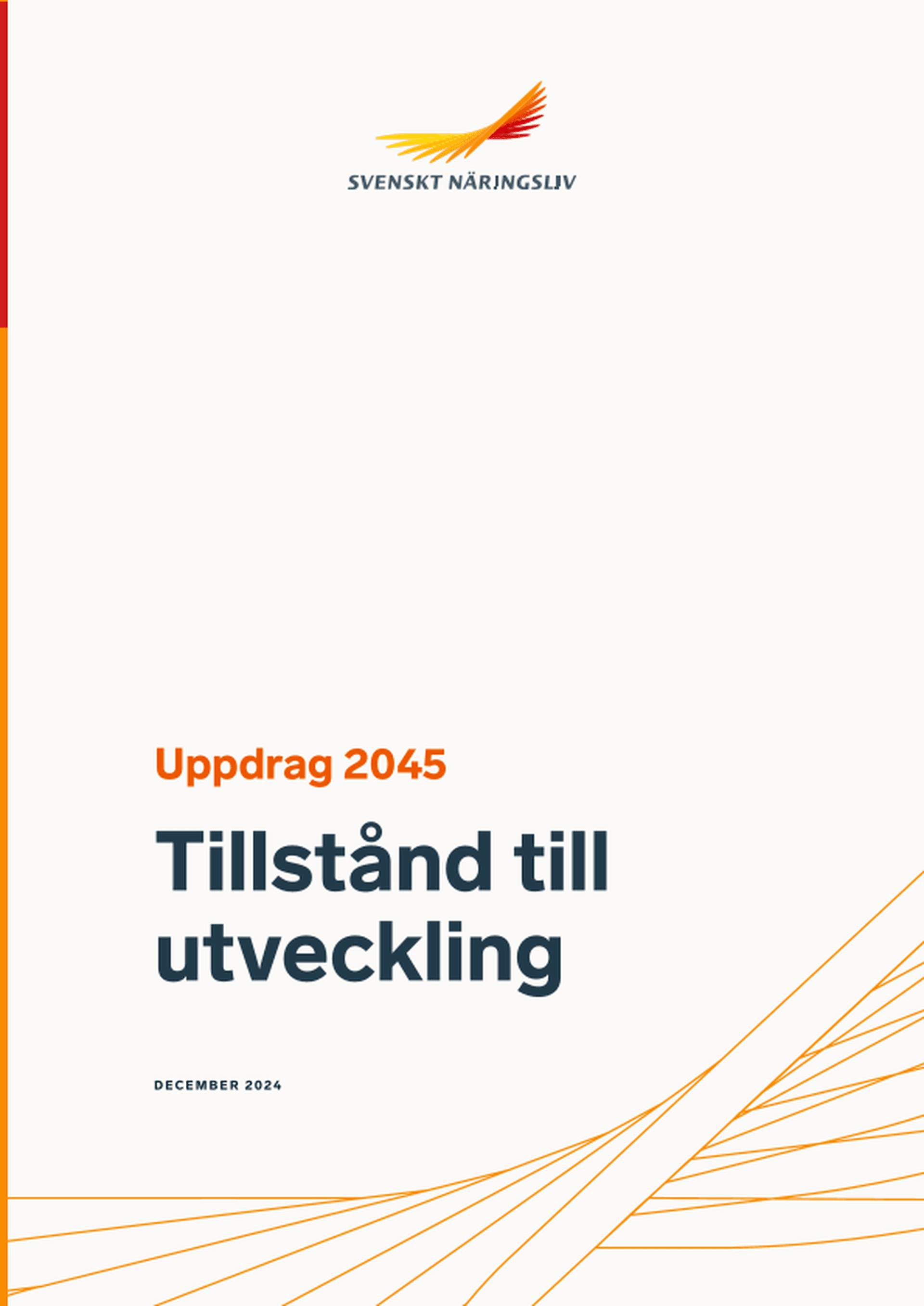Omslagsbild - Rapport