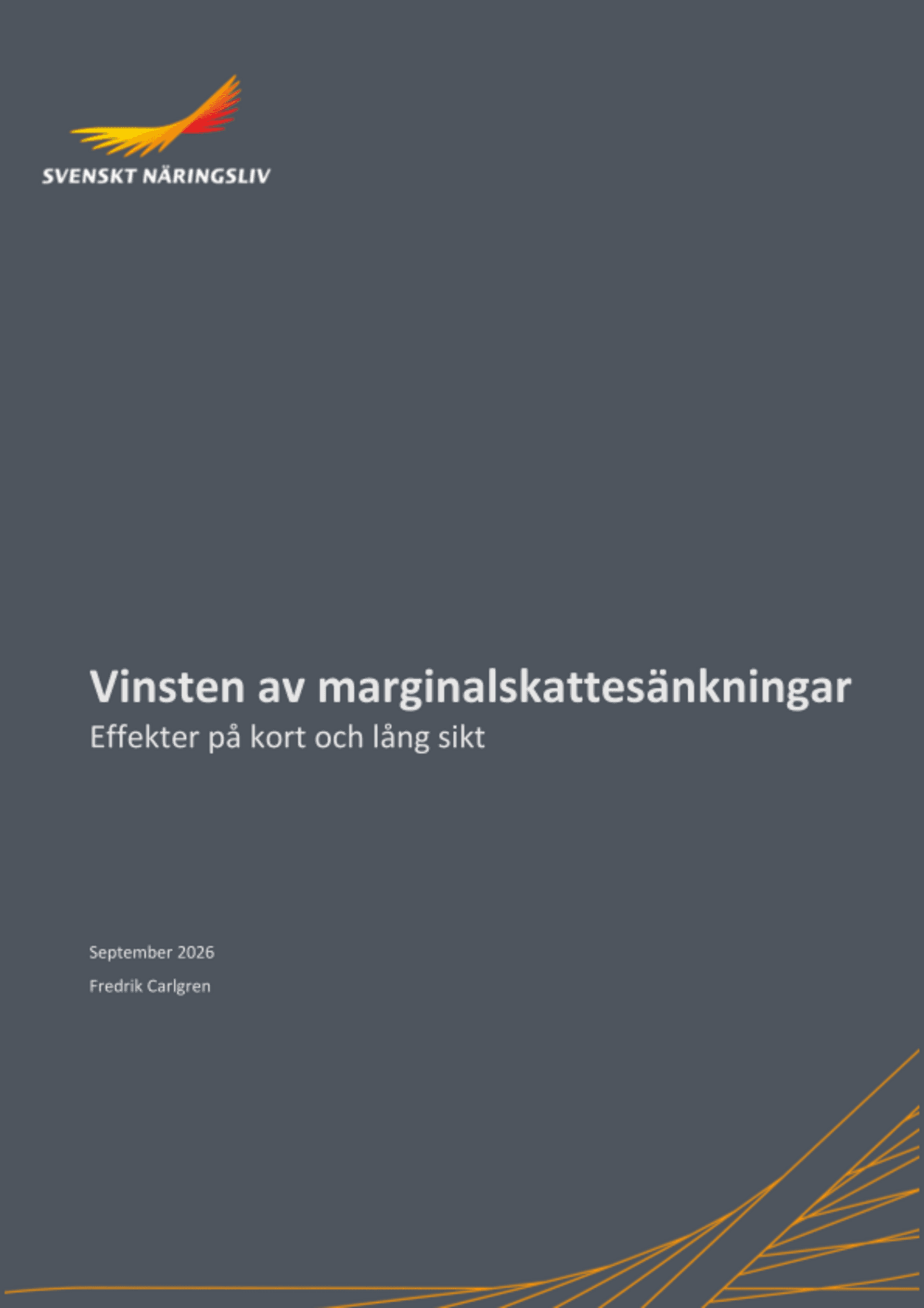 Omslagsbild - Rapport