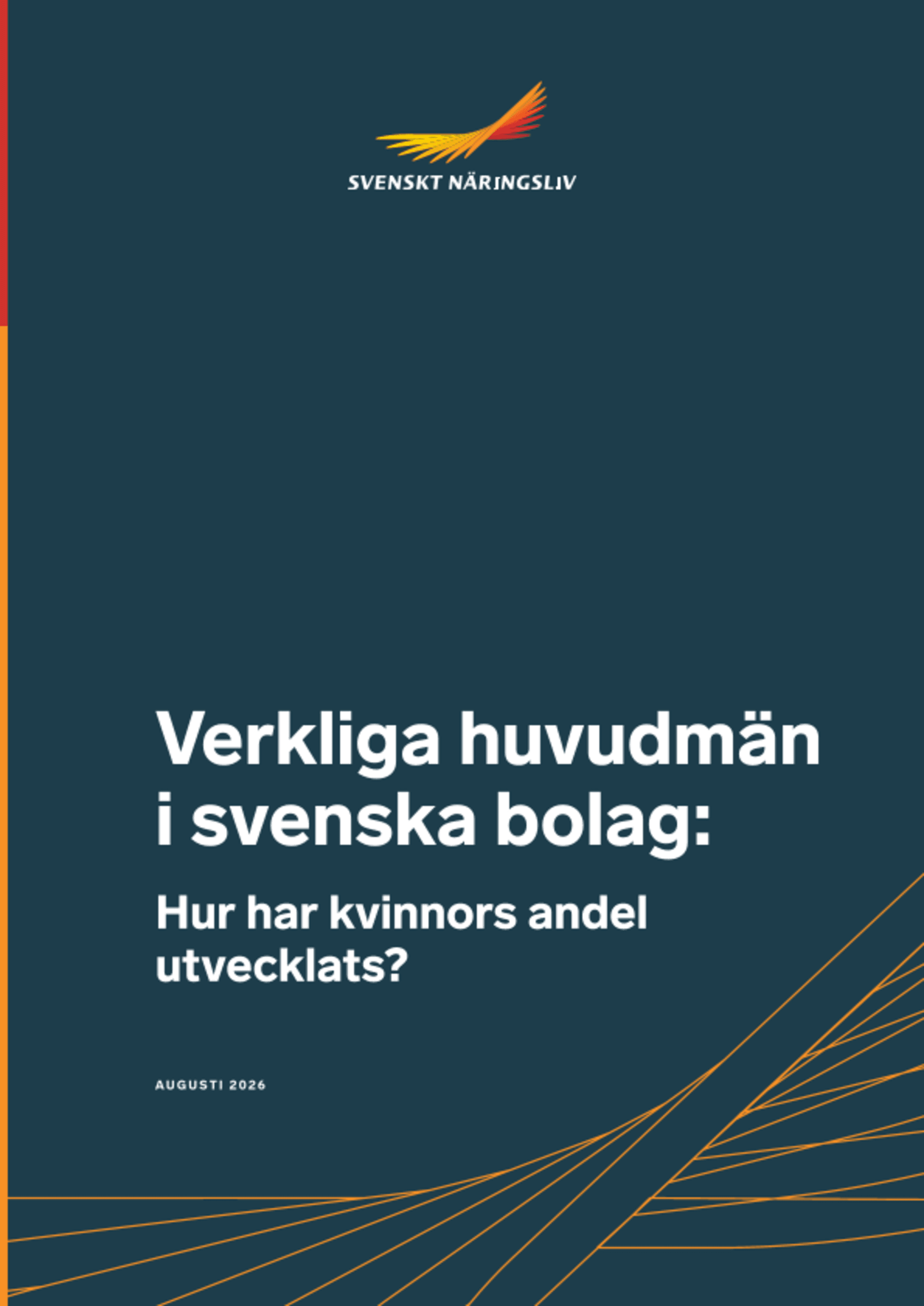Omslagsbild - Rapport
