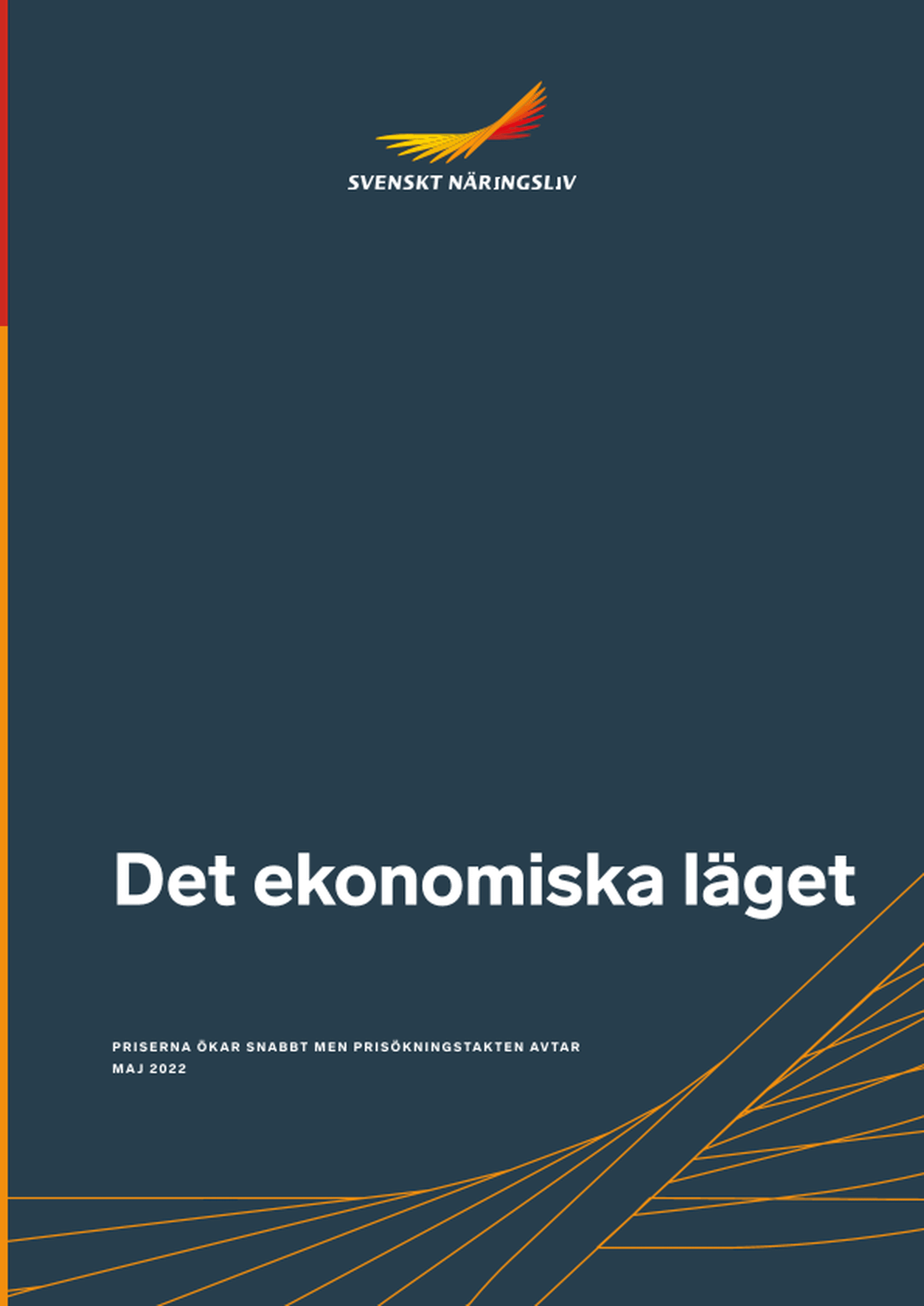 Omslagsbild - Rapport