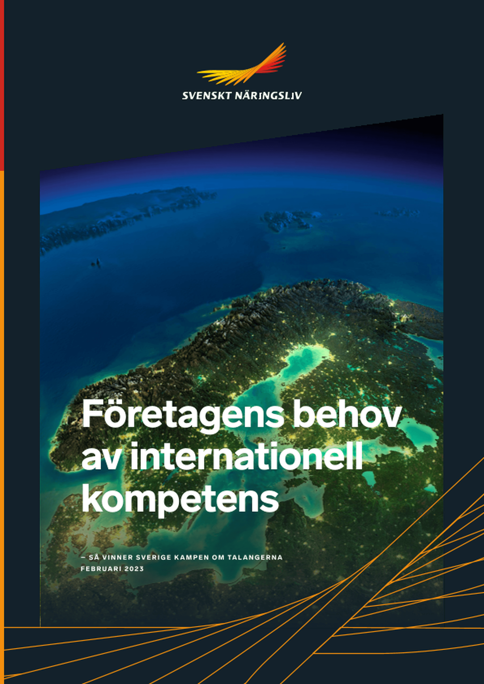 Omslagsbild - Rapport