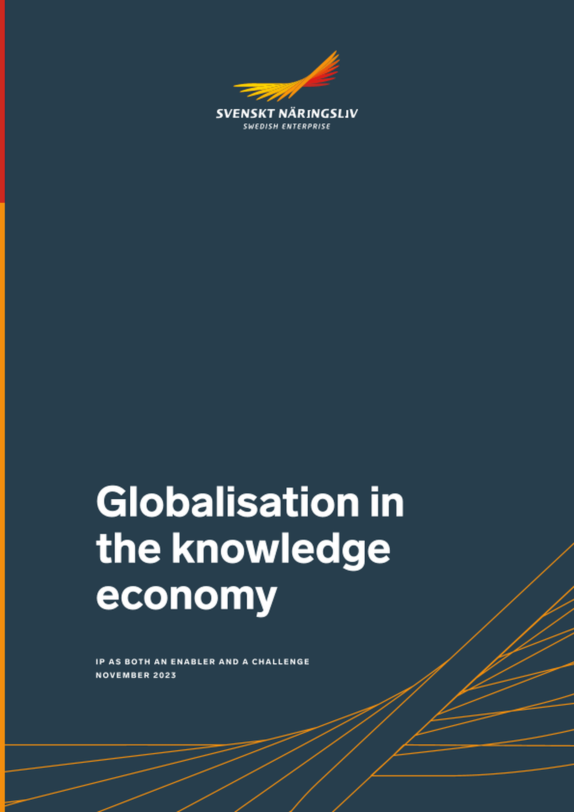 Omslagsbild - Rapport