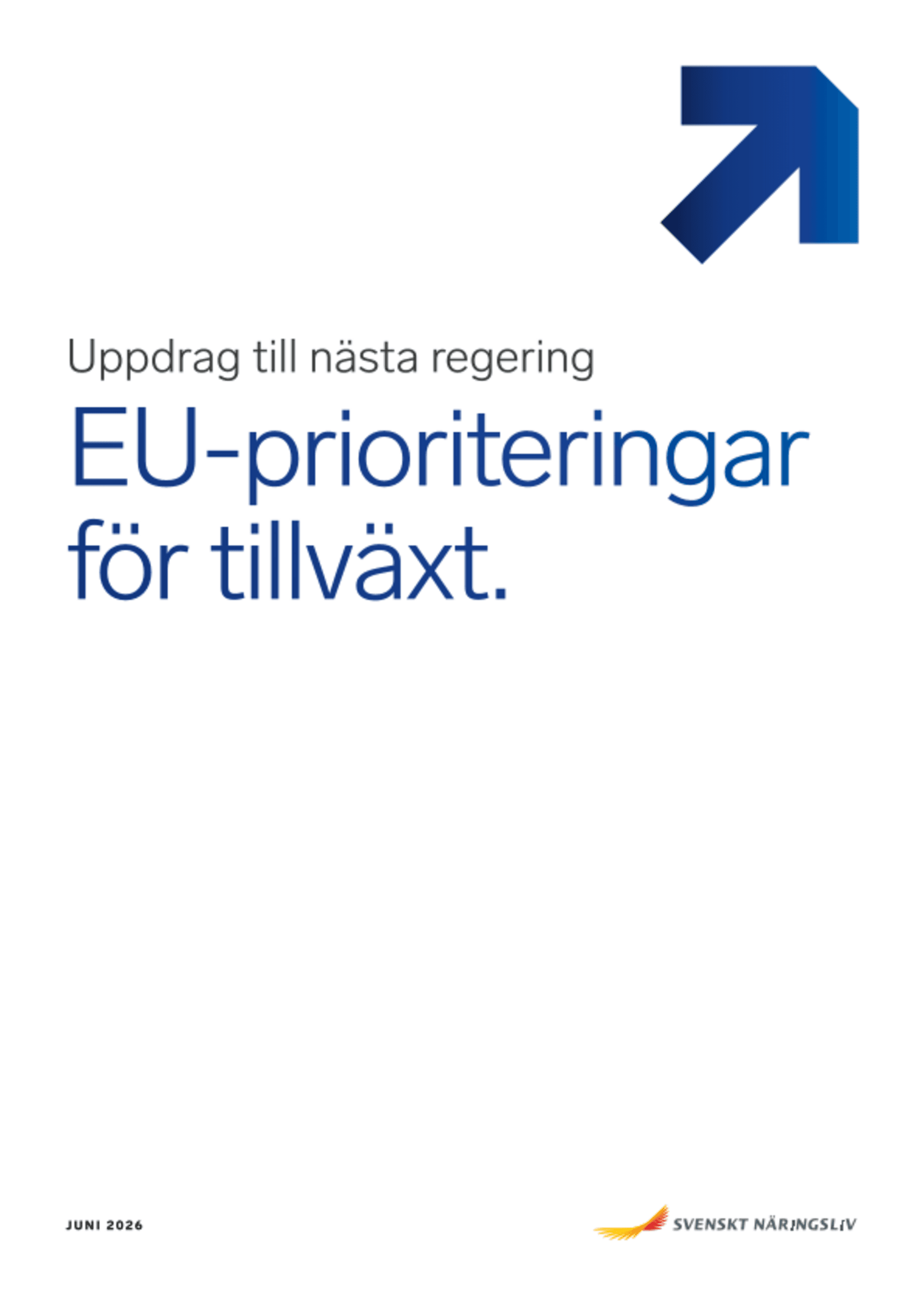 Omslagsbild - Rapport